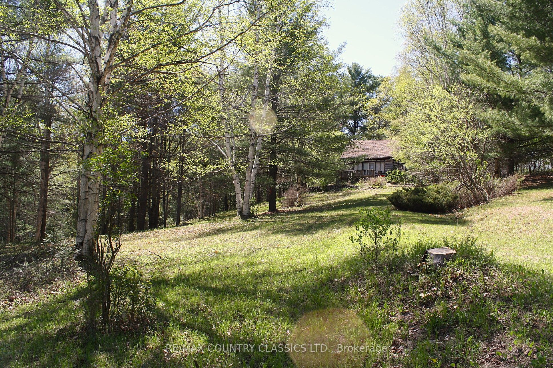 X13156988 Property Photo 28