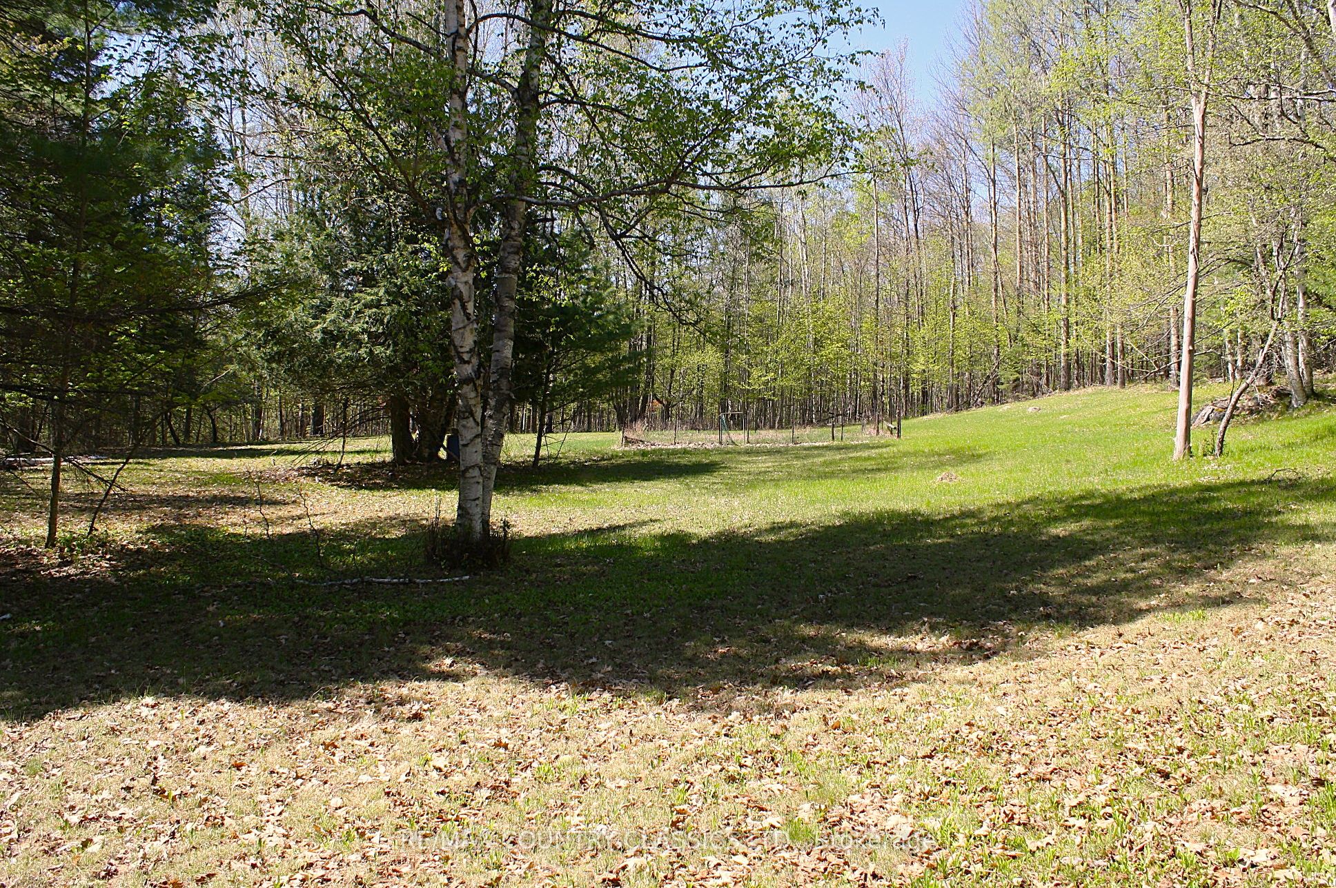 X13156988 Property Photo 29