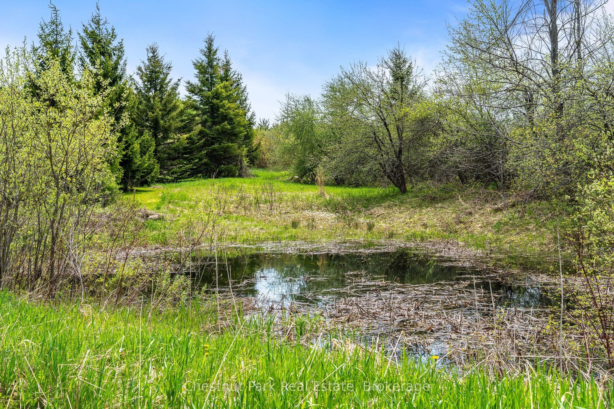 758510 2nd Line E Property Photo 43