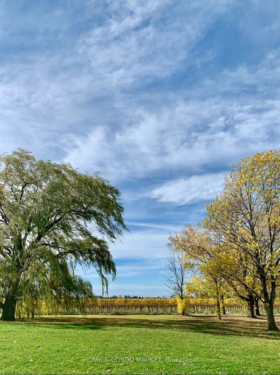 15450 Niagara River Parkway Property Photo 47