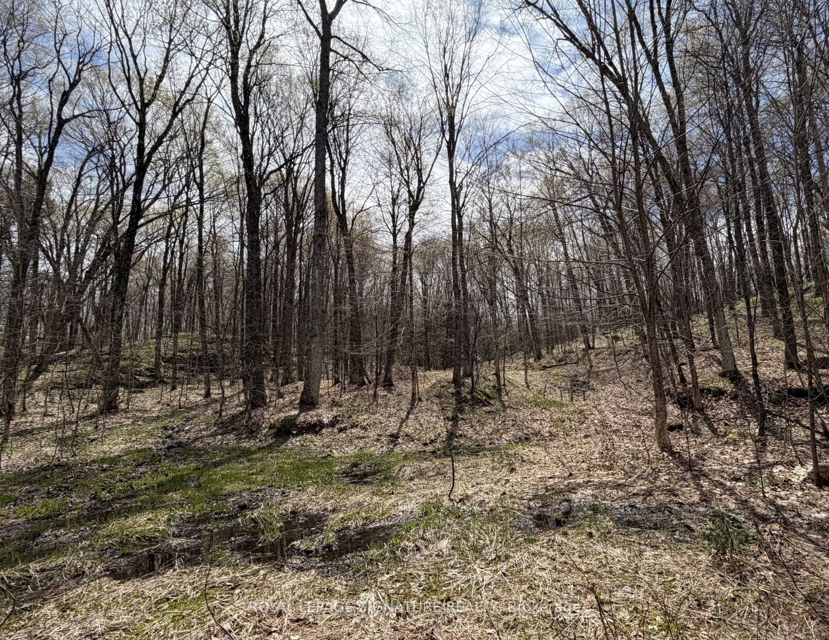1170 Peter Road Property Photo 13