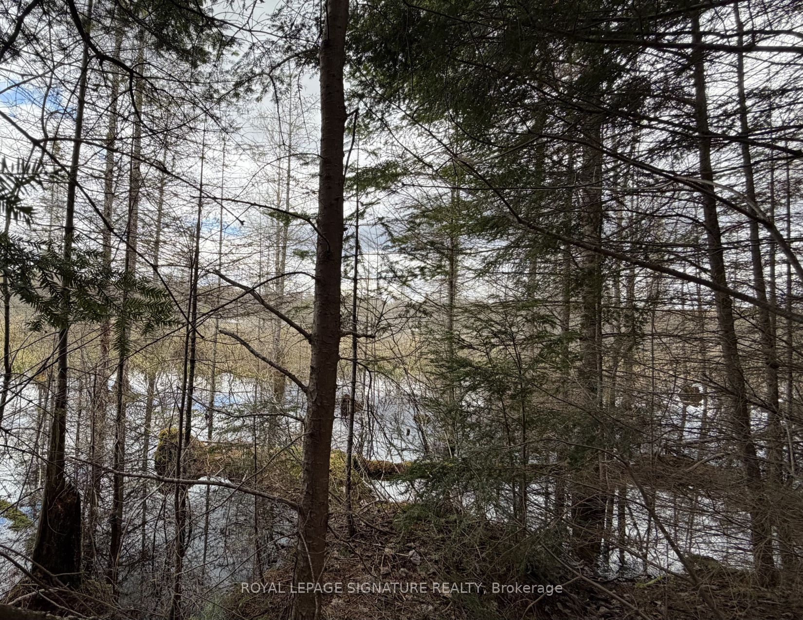 1170 Peter Road Property Photo 18