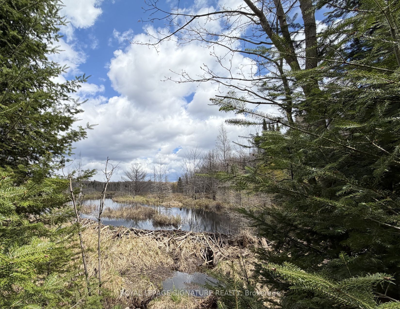 1170 Peter Road Property Photo 22