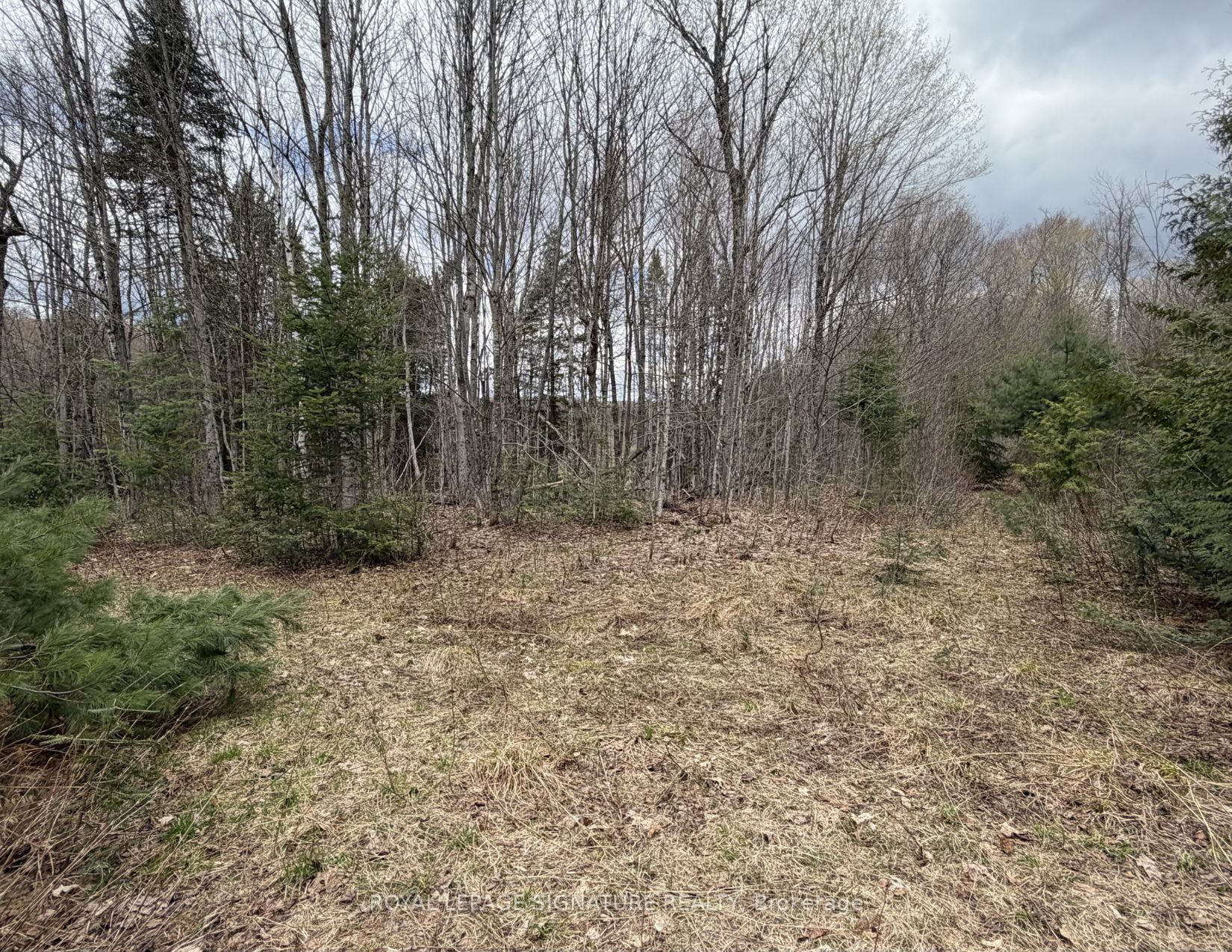 1170 Peter Road Property Photo 25
