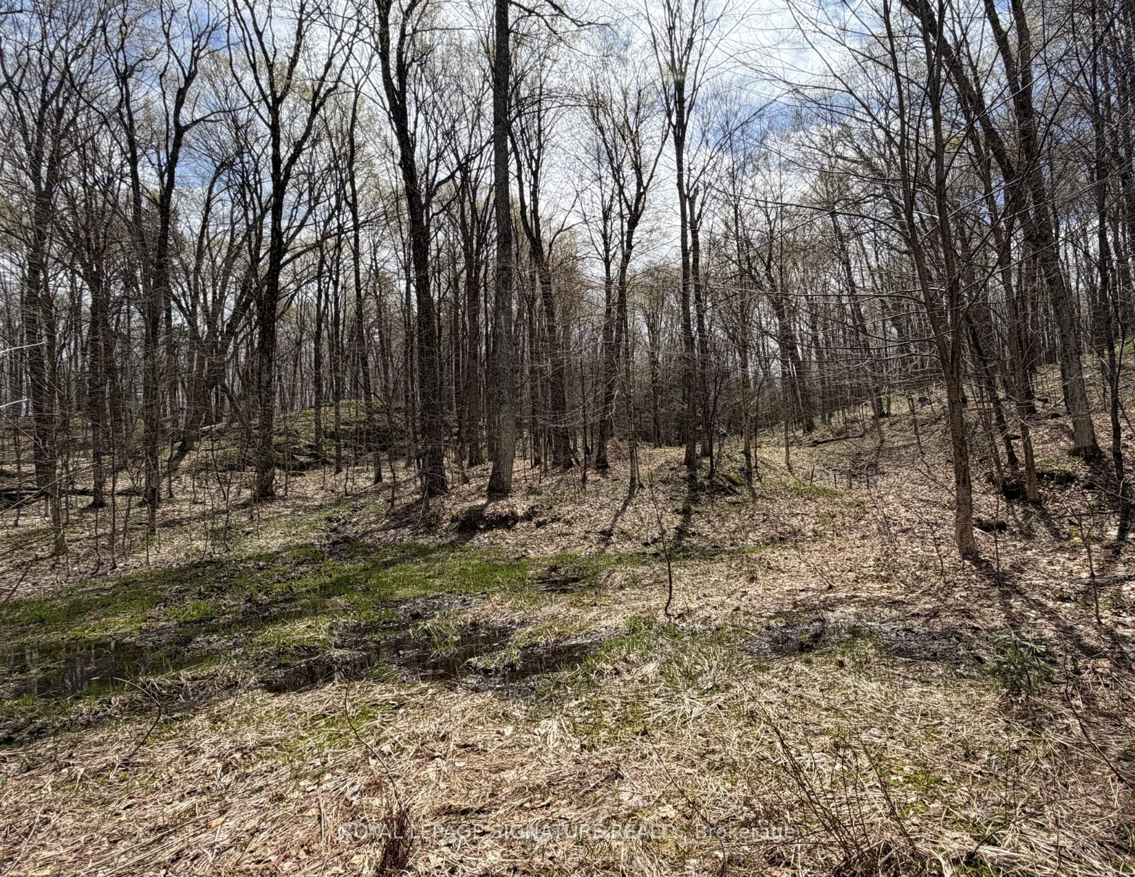 1170 Peter Road Property Photo 36
