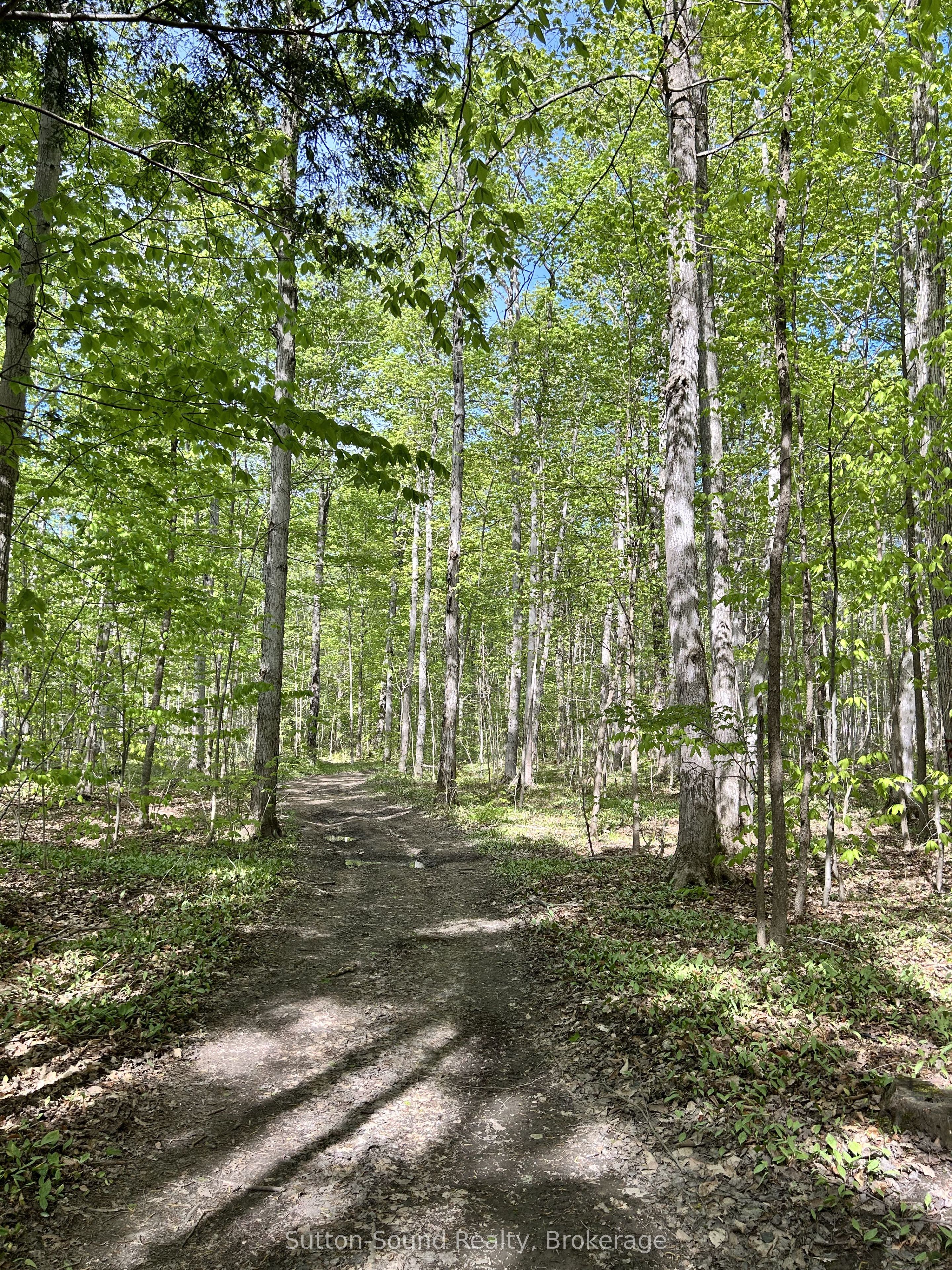 Lot 24 Concession 14 Keppel Concession Property Photo 8