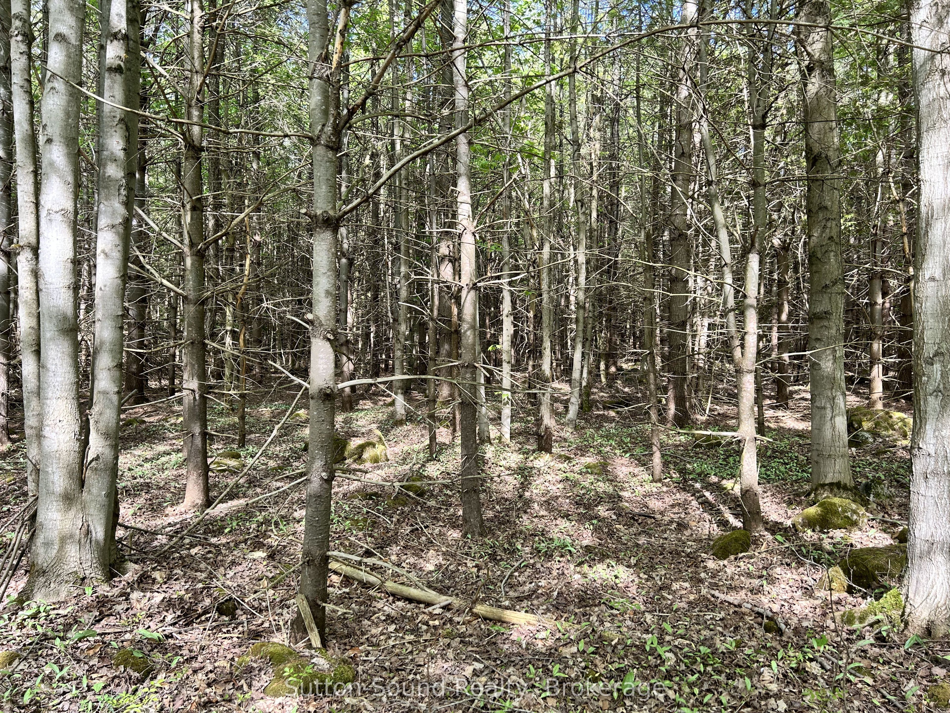 Lot 24 Concession 14 Keppel Concession Property Photo 11
