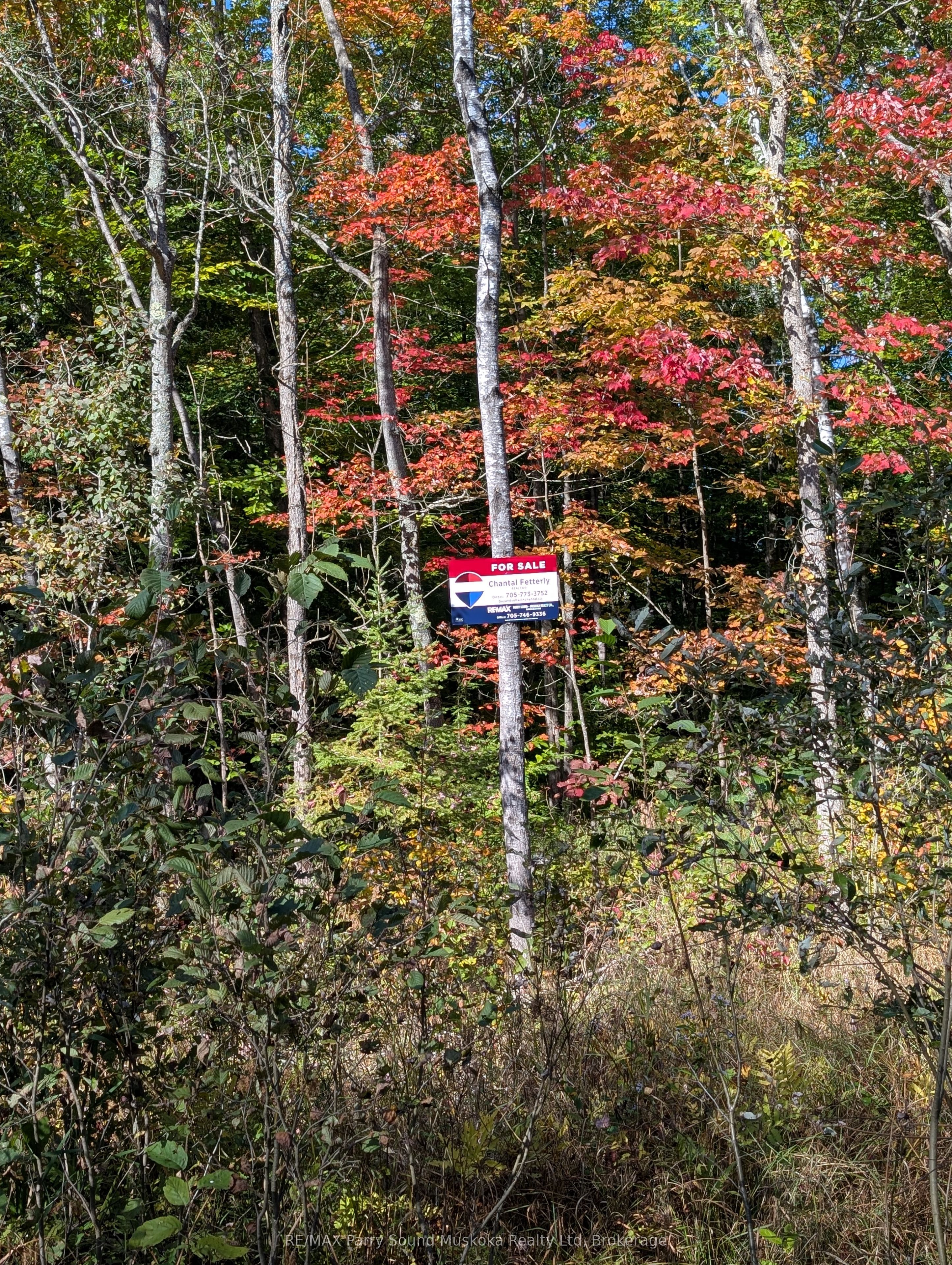 0 Sugar Lake Road Property Photo 1