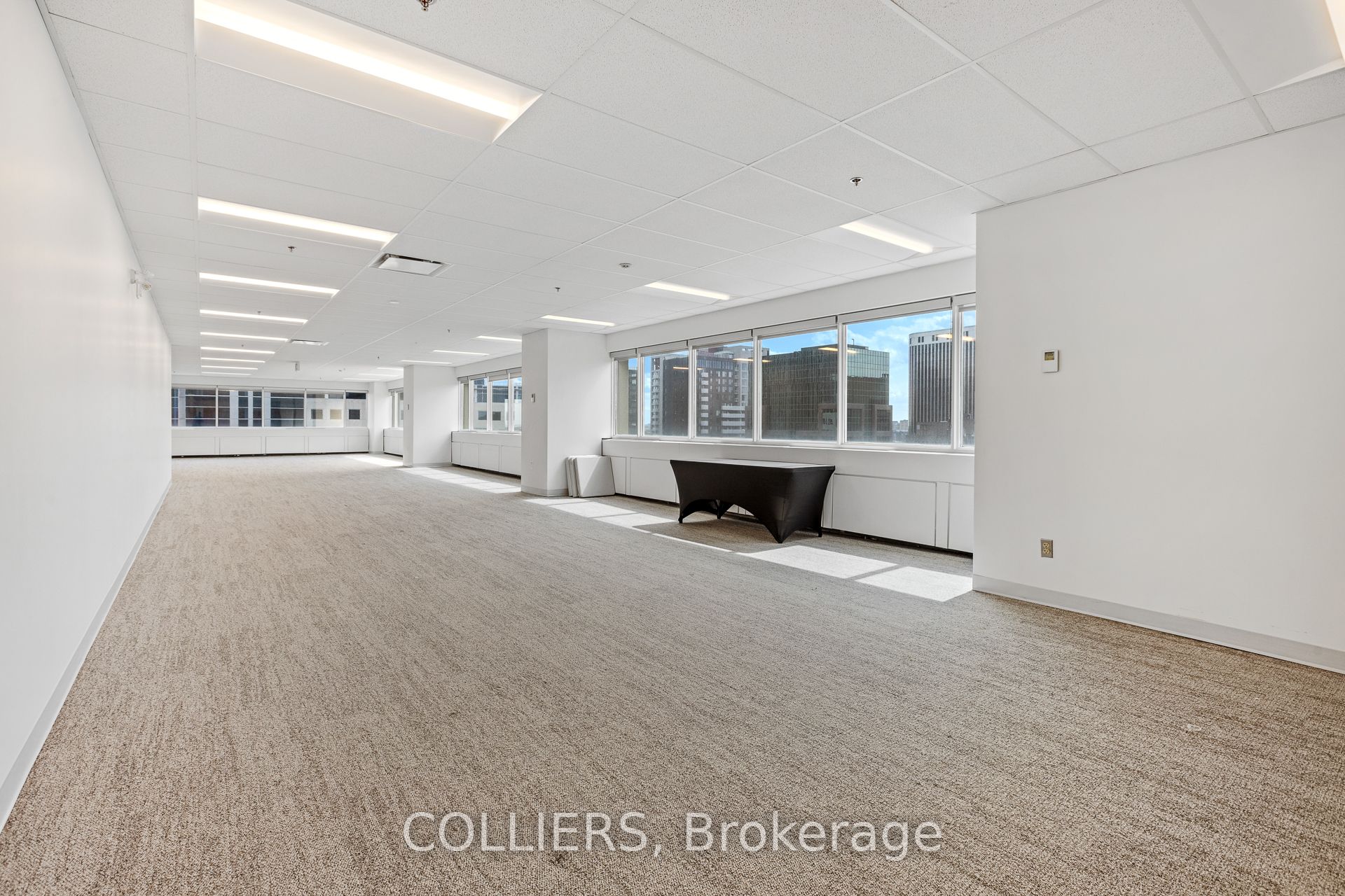 66 Slater Street 2010 Property Photo 7