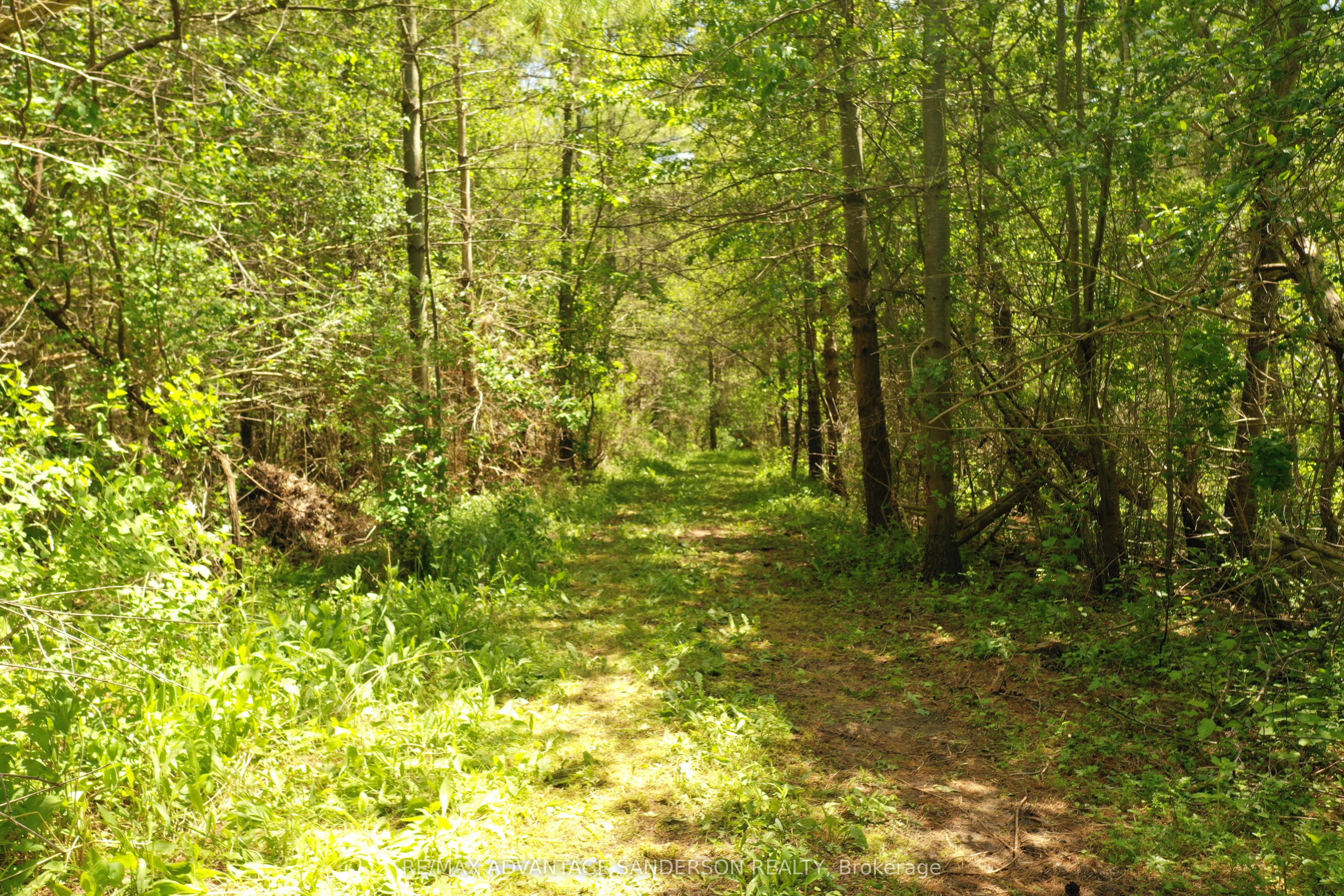 4099 Mcintosh Drive Property Photo 23
