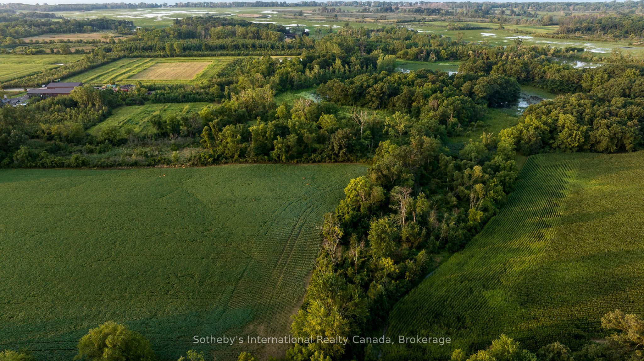 5874 Concession 5 Road S Property Photo 4