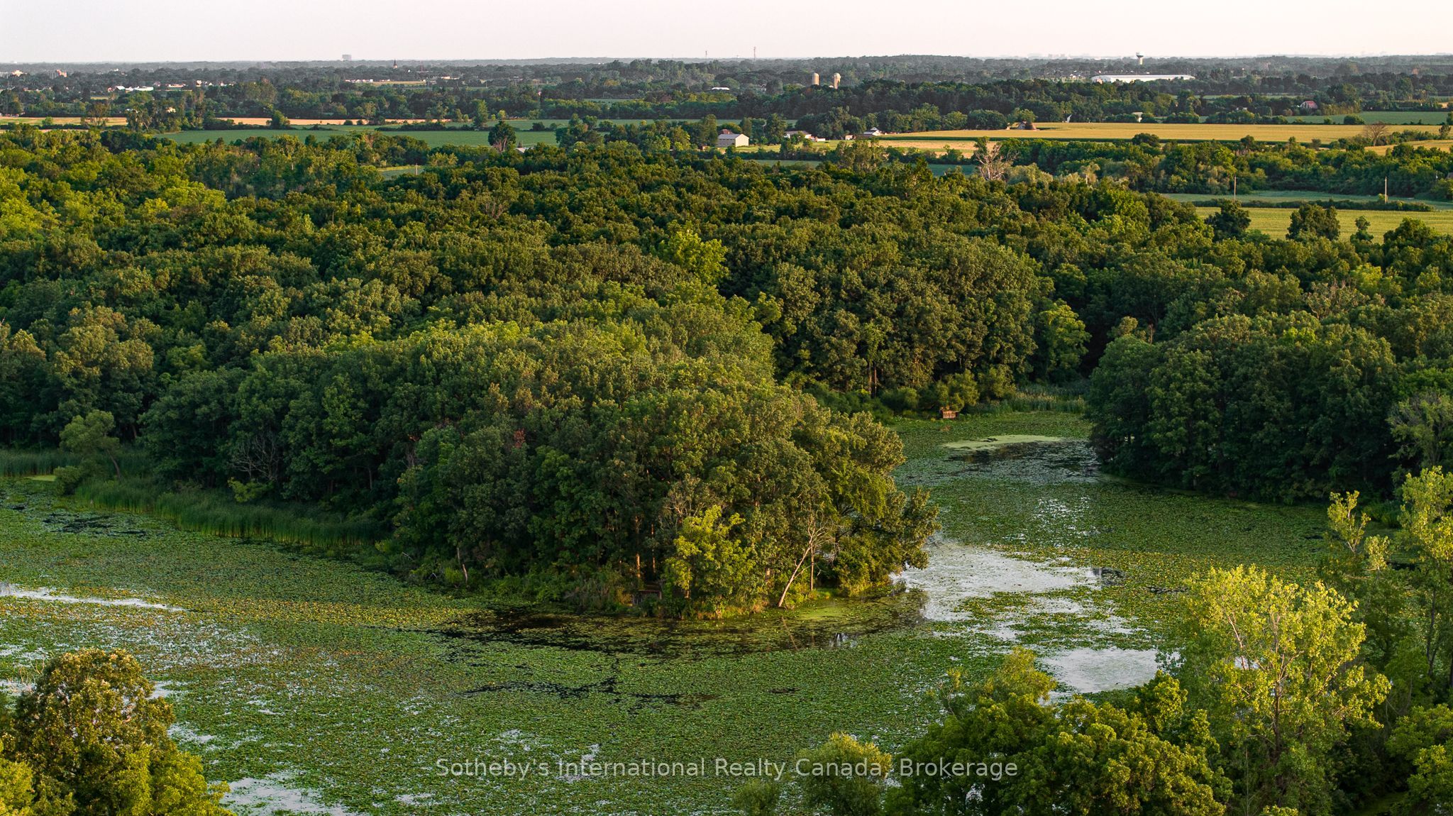 5874 Concession 5 Road S Property Photo 6