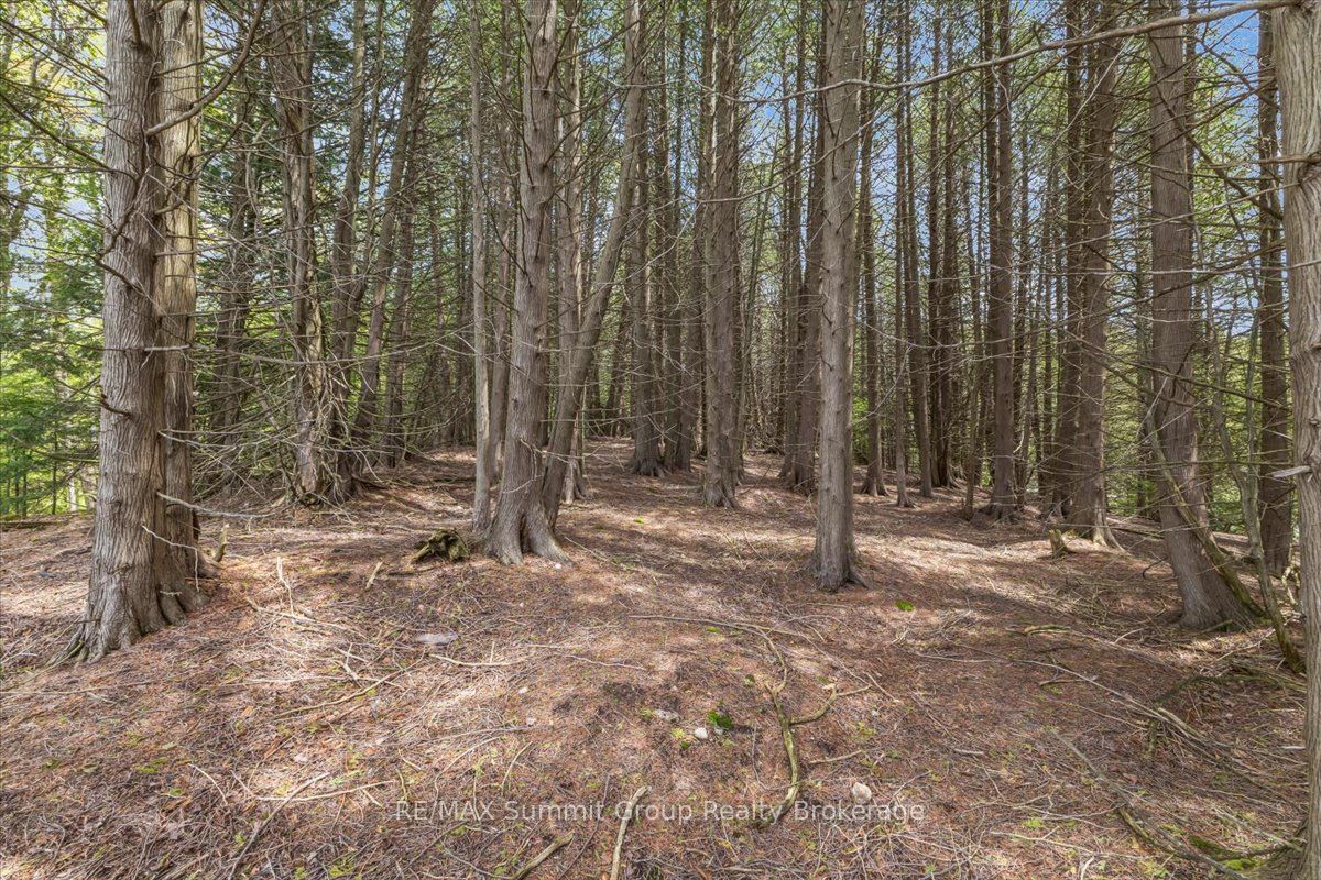 Pt Lt 2 Lakewood Lane Property Photo 8