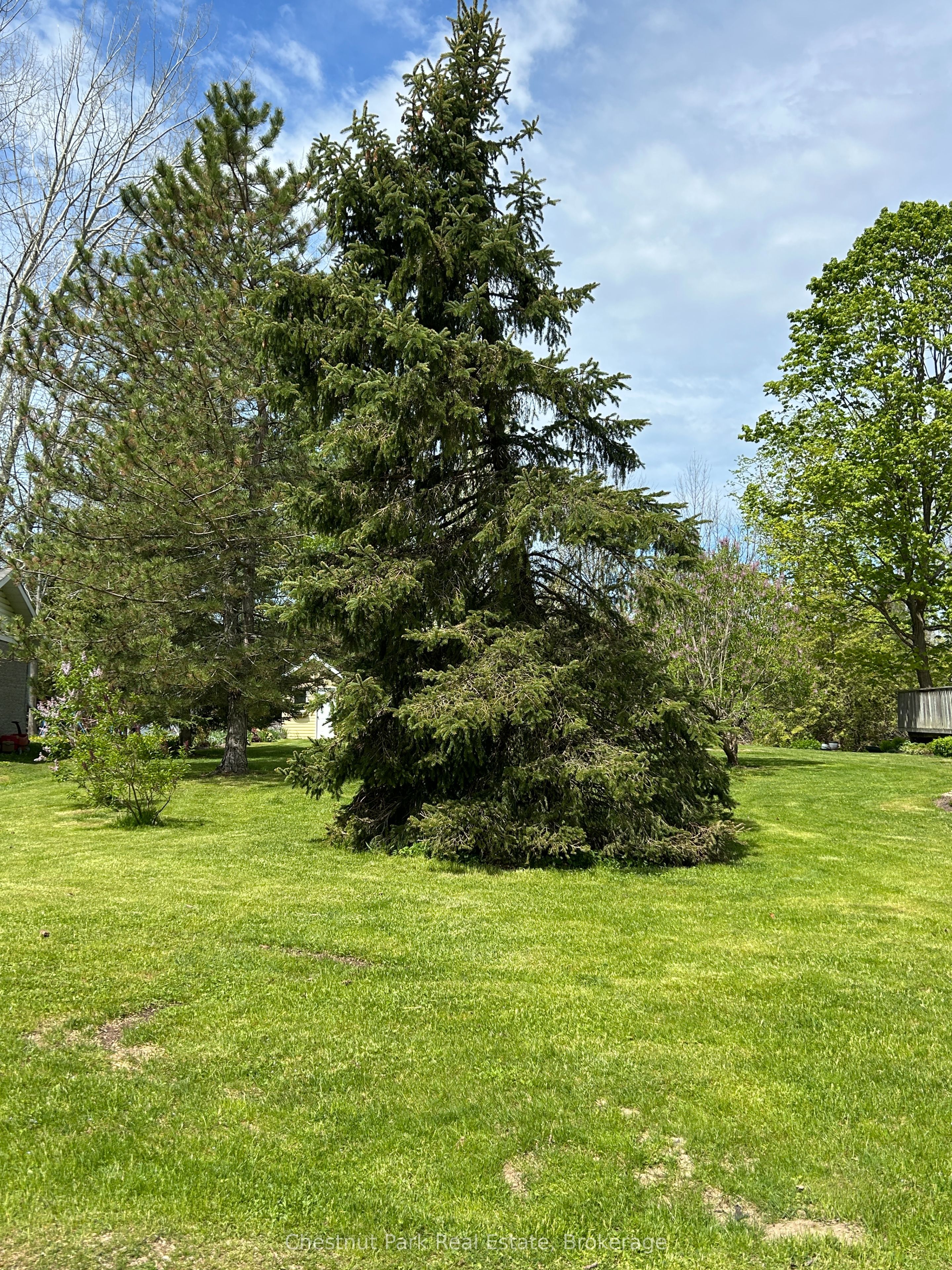 13 Pollard Drive Property Photo 3
