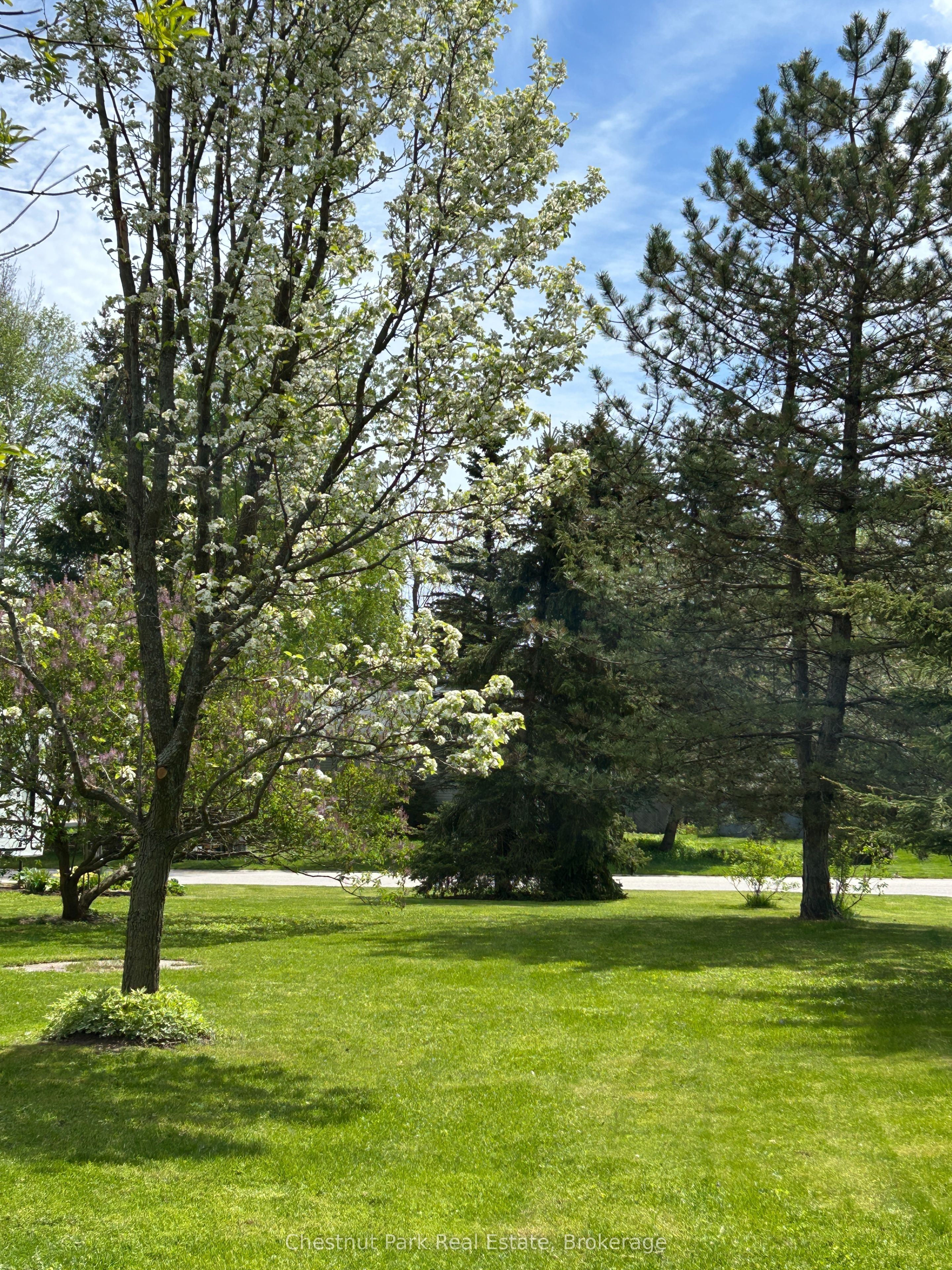 13 Pollard Drive Property Photo 11