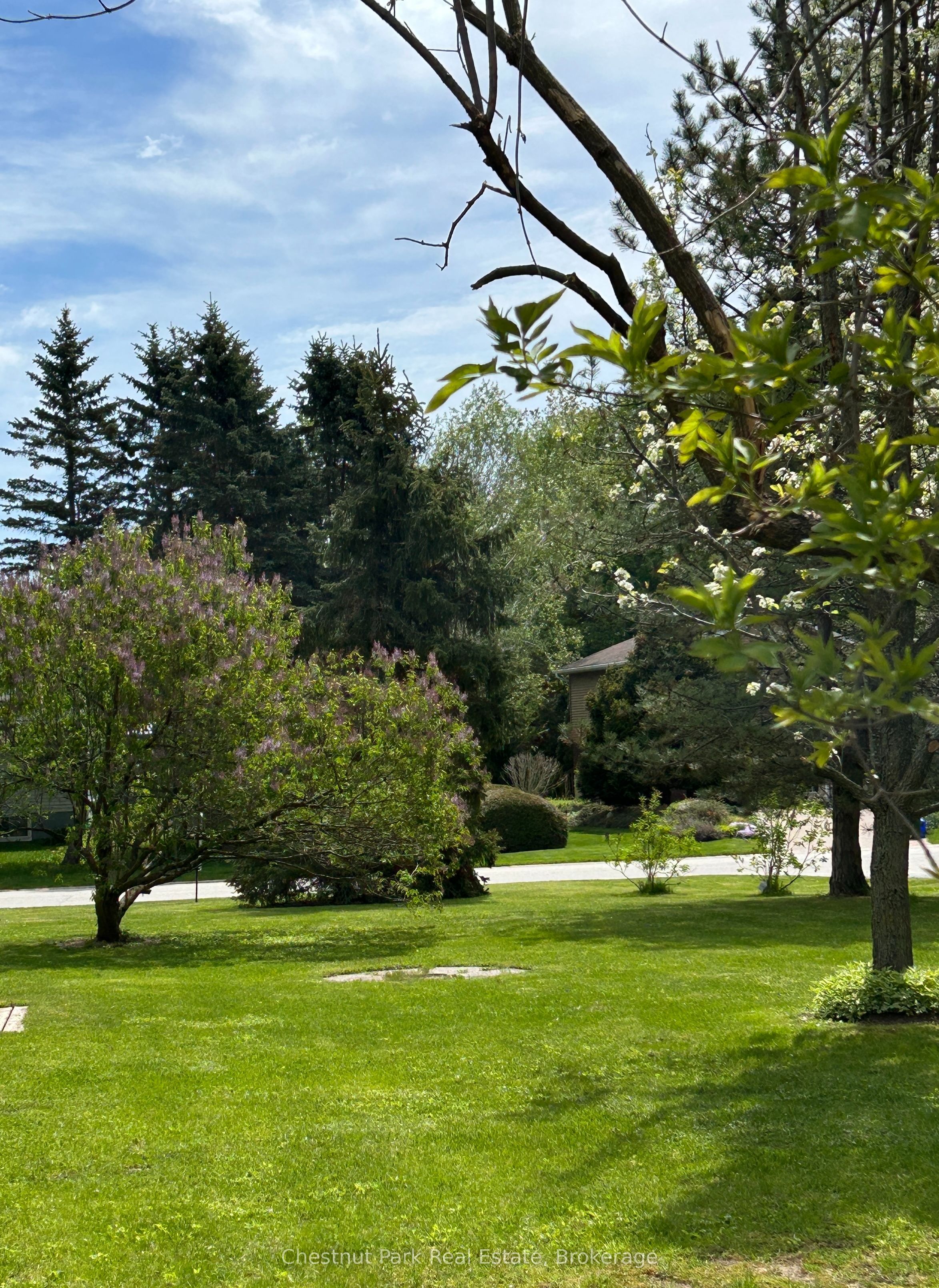 13 Pollard Drive Property Photo 13