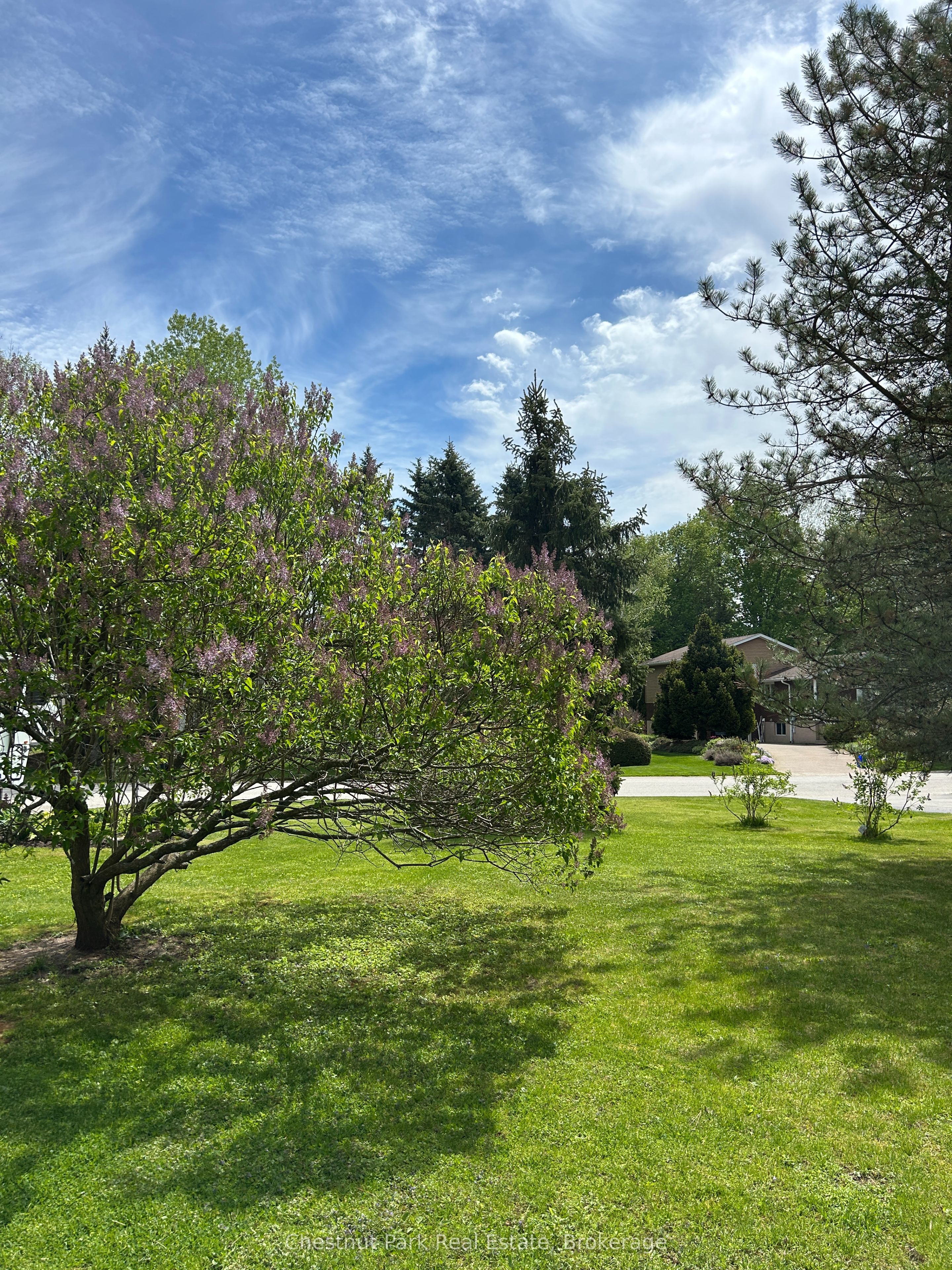 13 Pollard Drive Property Photo 14