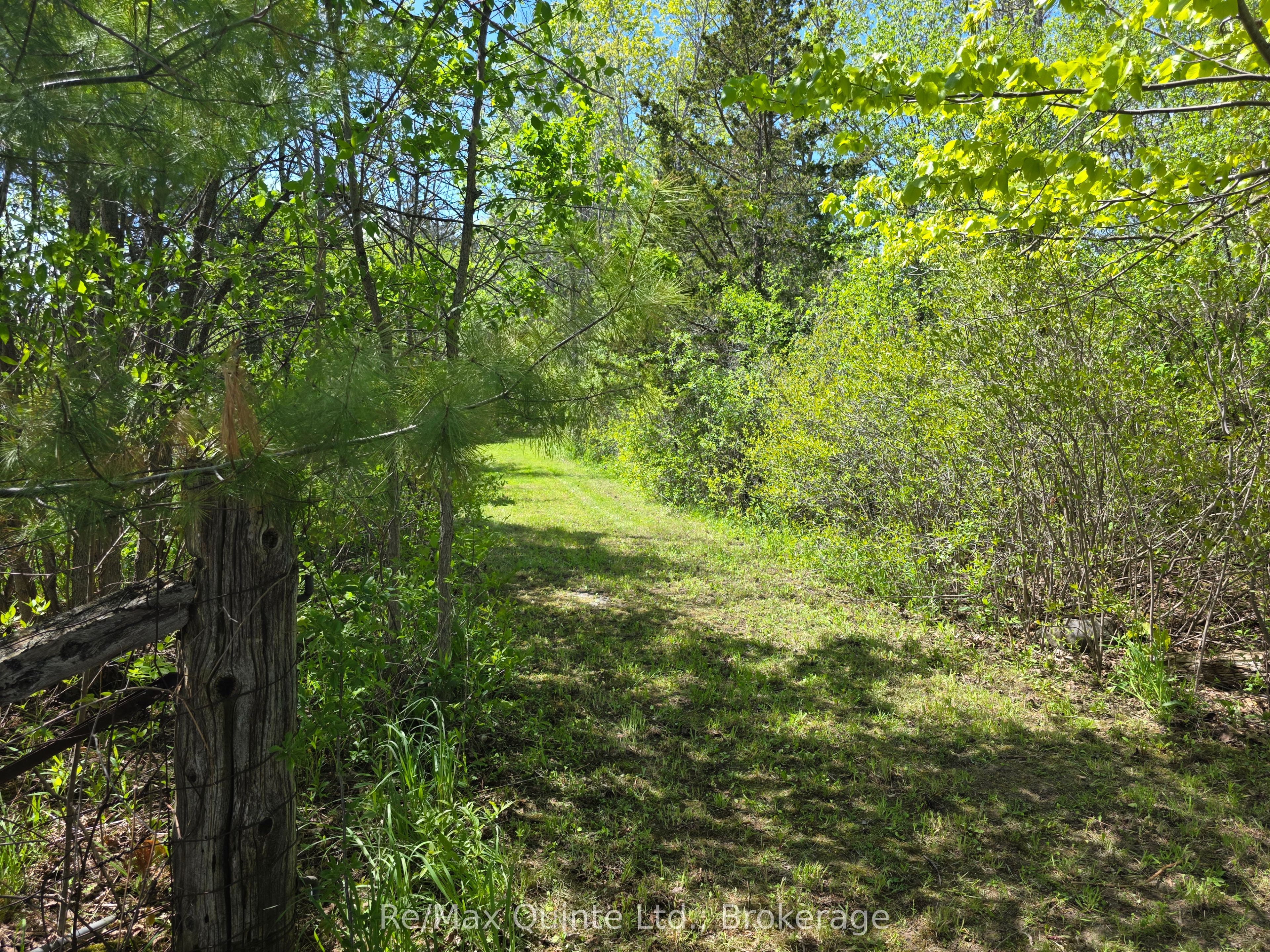 Across From 3904 Cty Rd 49 Property Photo 5