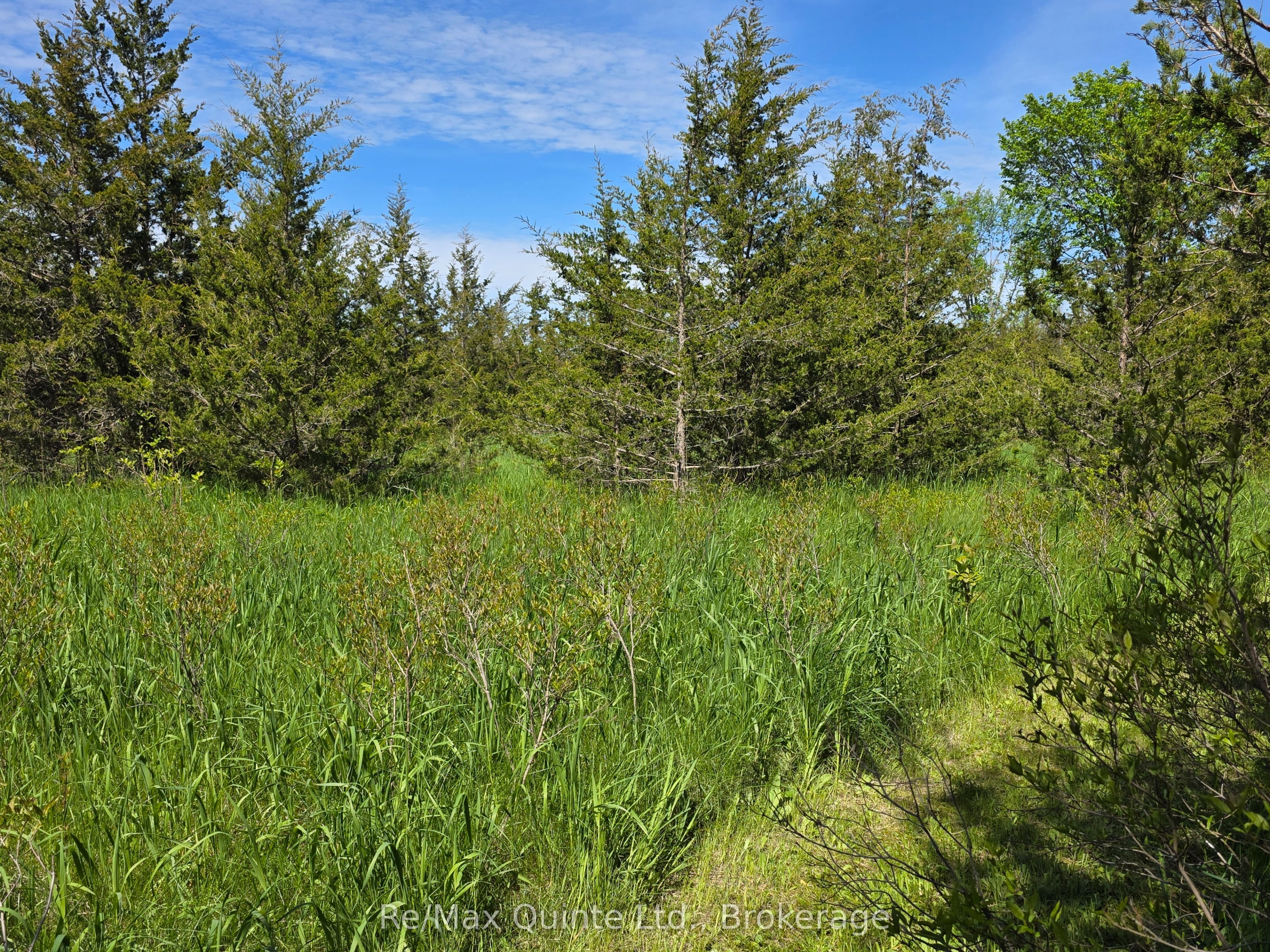 Across From 3904 Cty Rd 49 Property Photo 10