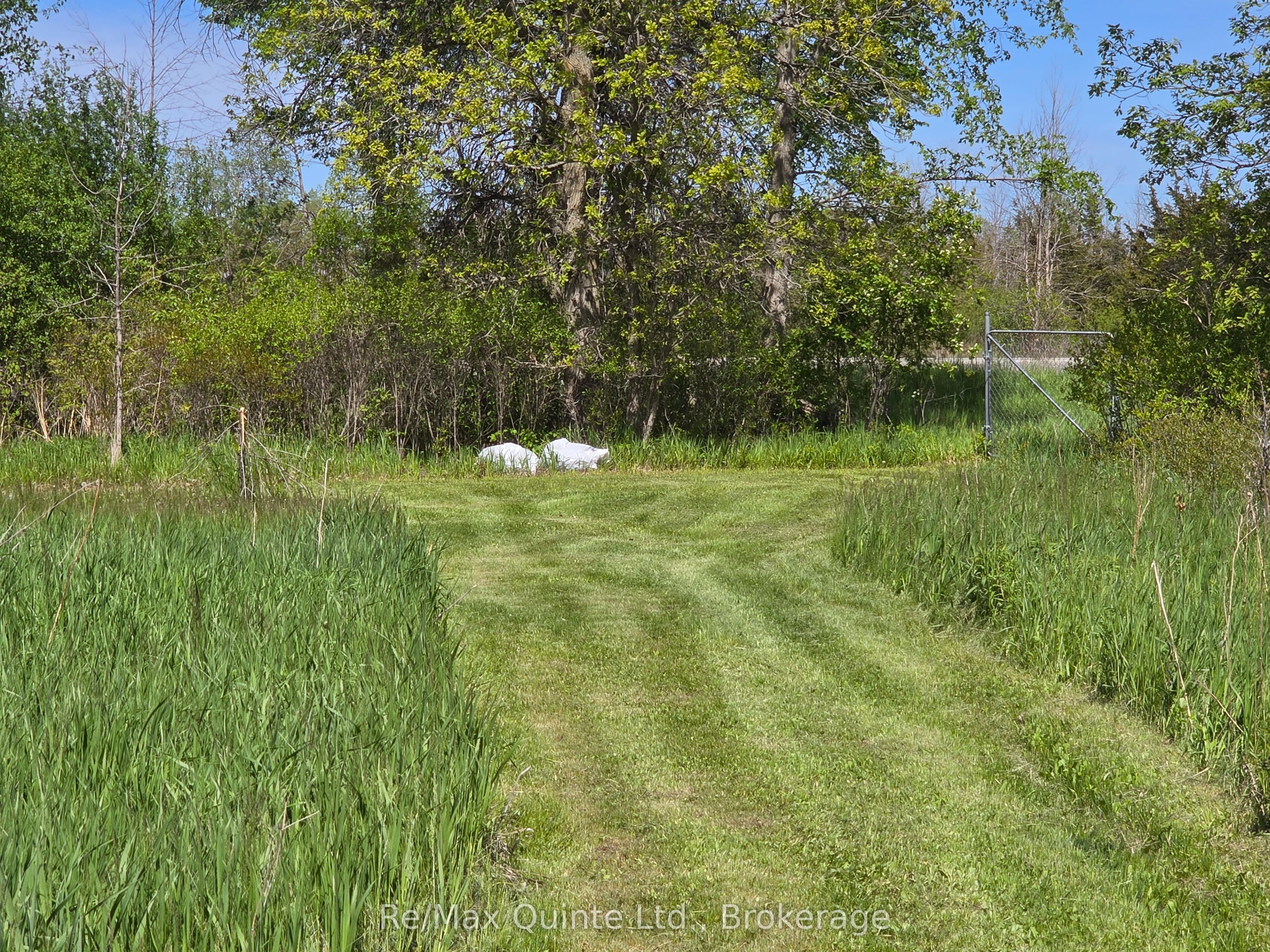 Across From 3904 Cty Rd 49 Property Photo 15