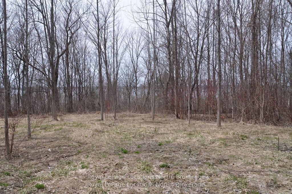 Ptlt 19 Con Broken Front Bayshore Road Property Photo 7