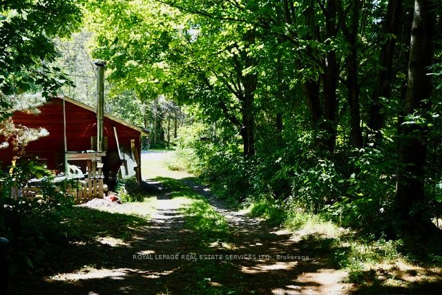 1116 Moon River Road Property Photo 4