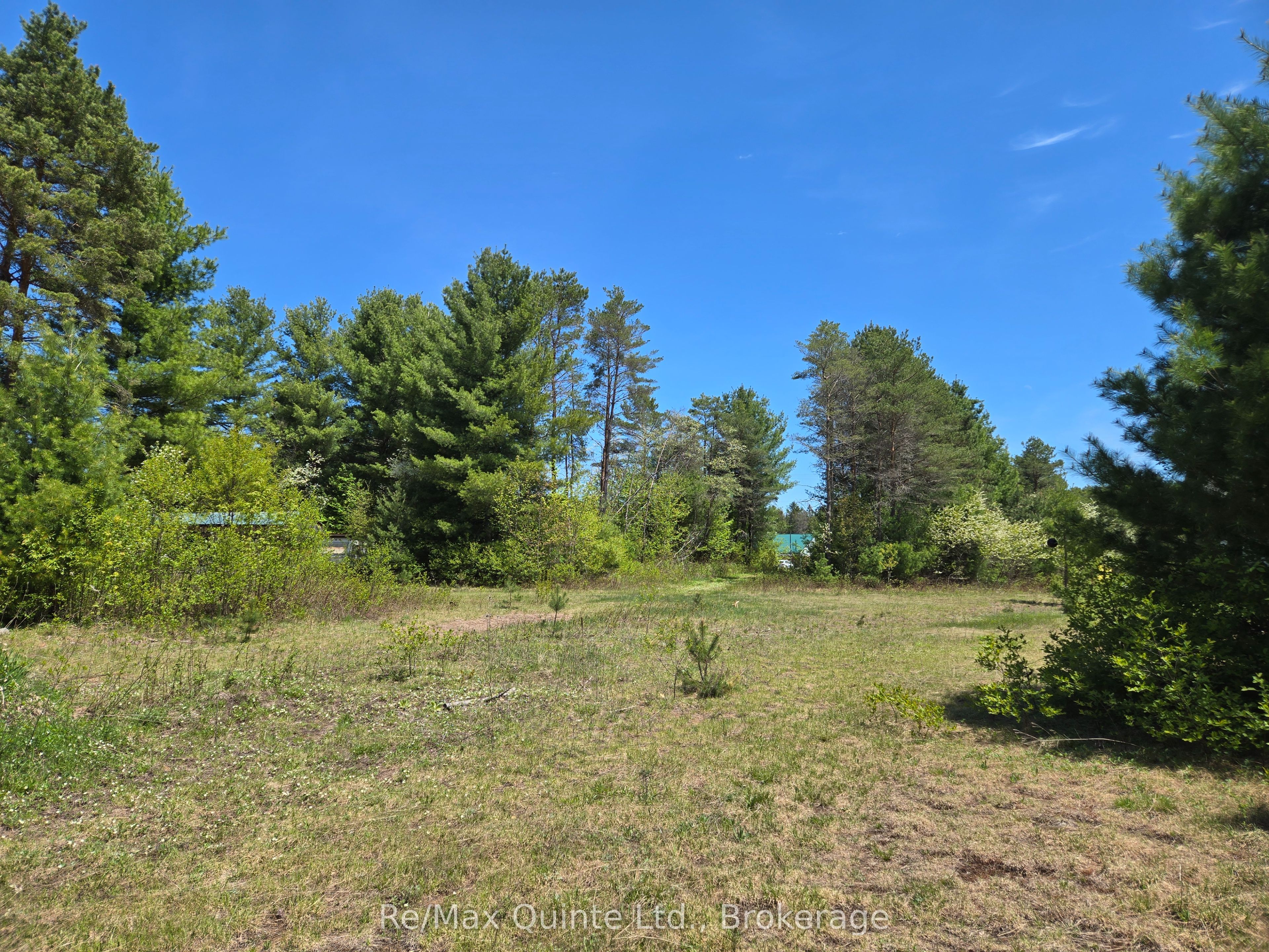 127 Lloyd Street E Property Photo 7