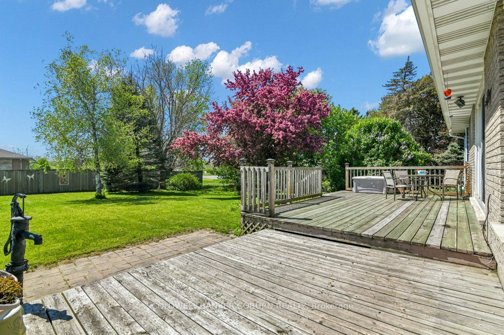 10 Manning Road Property Photo 32