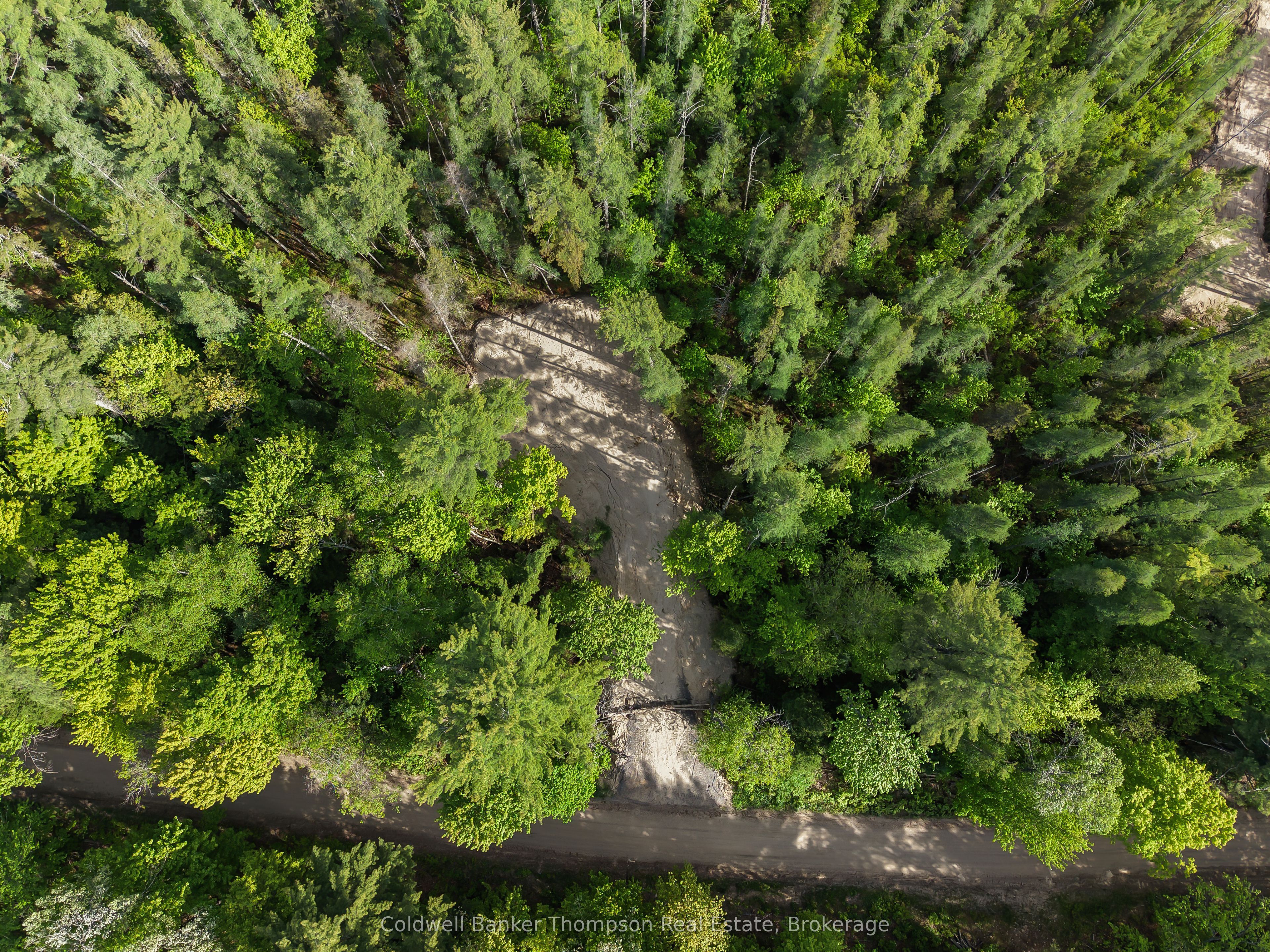 Part 6 Axe Lake Road Property Photo 1