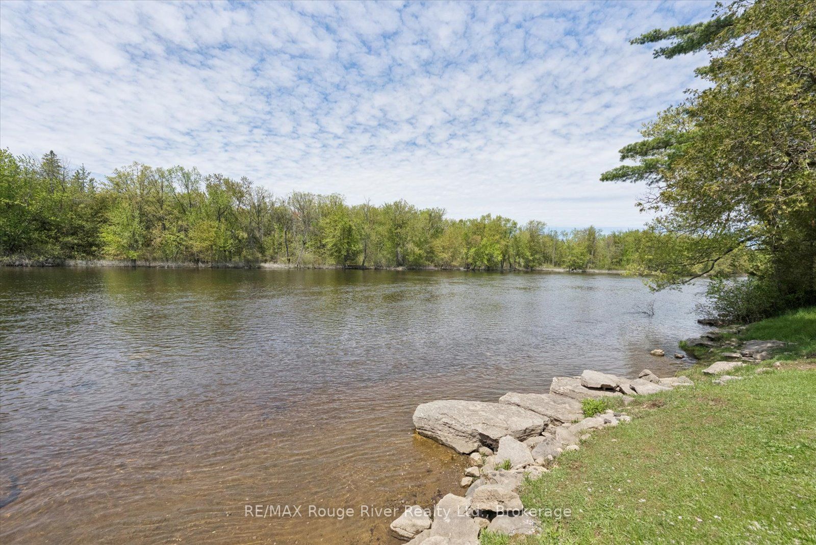 189 Pine Lane Property Photo 36