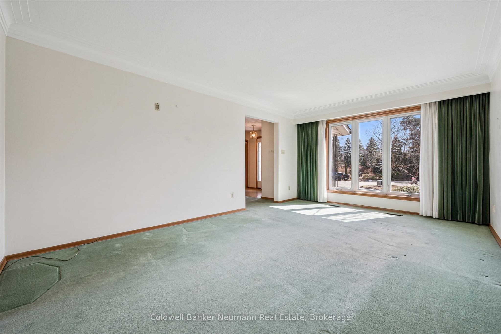 18 Carmine Place Property Photo 8