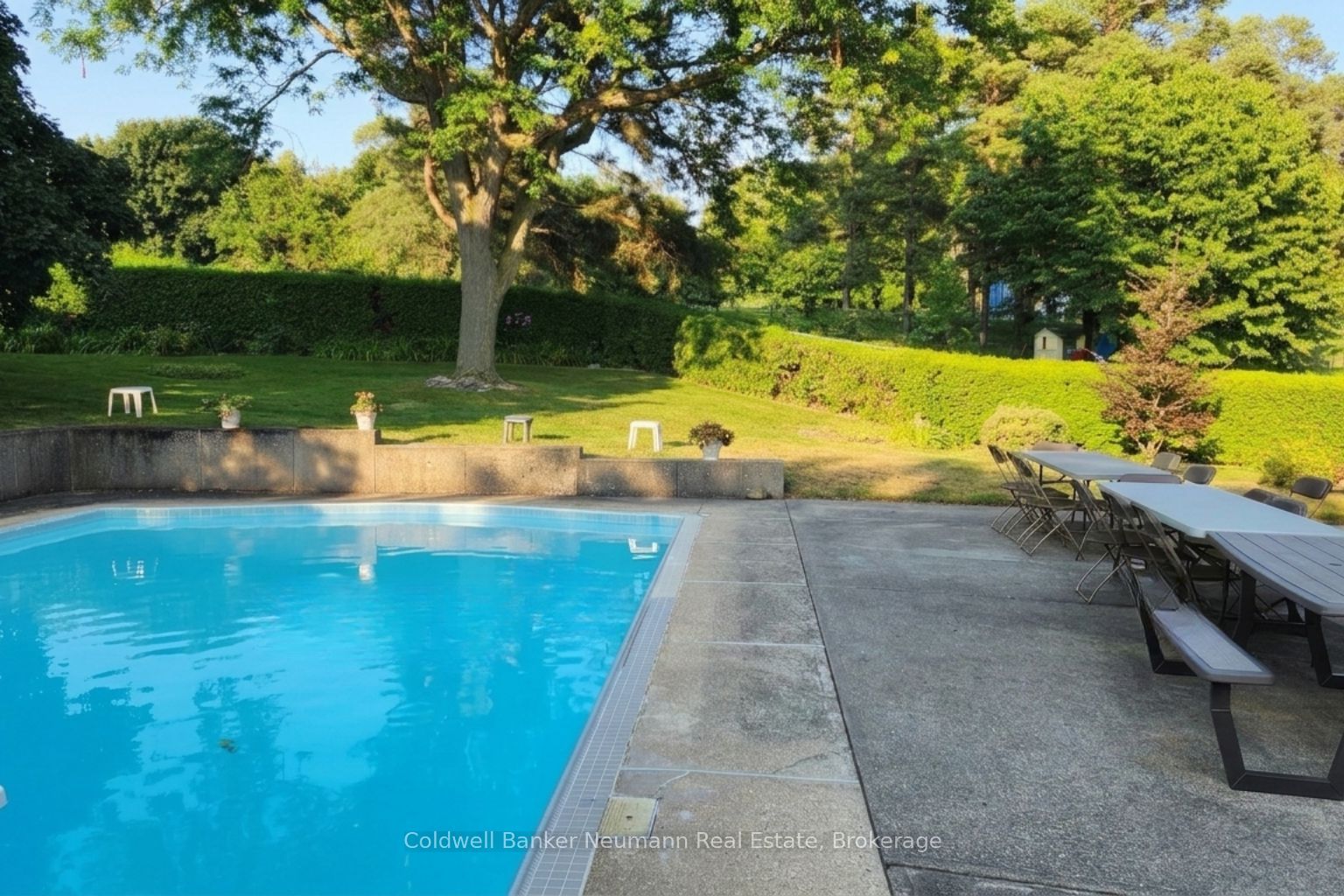 18 Carmine Place Property Photo 41