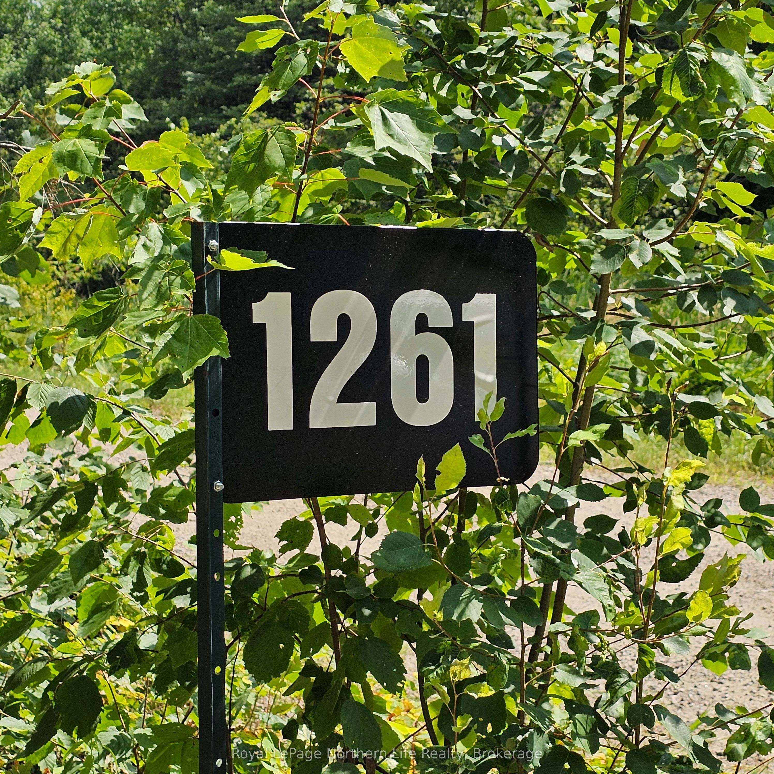 1261 Snake Creek Road Property Photo 1