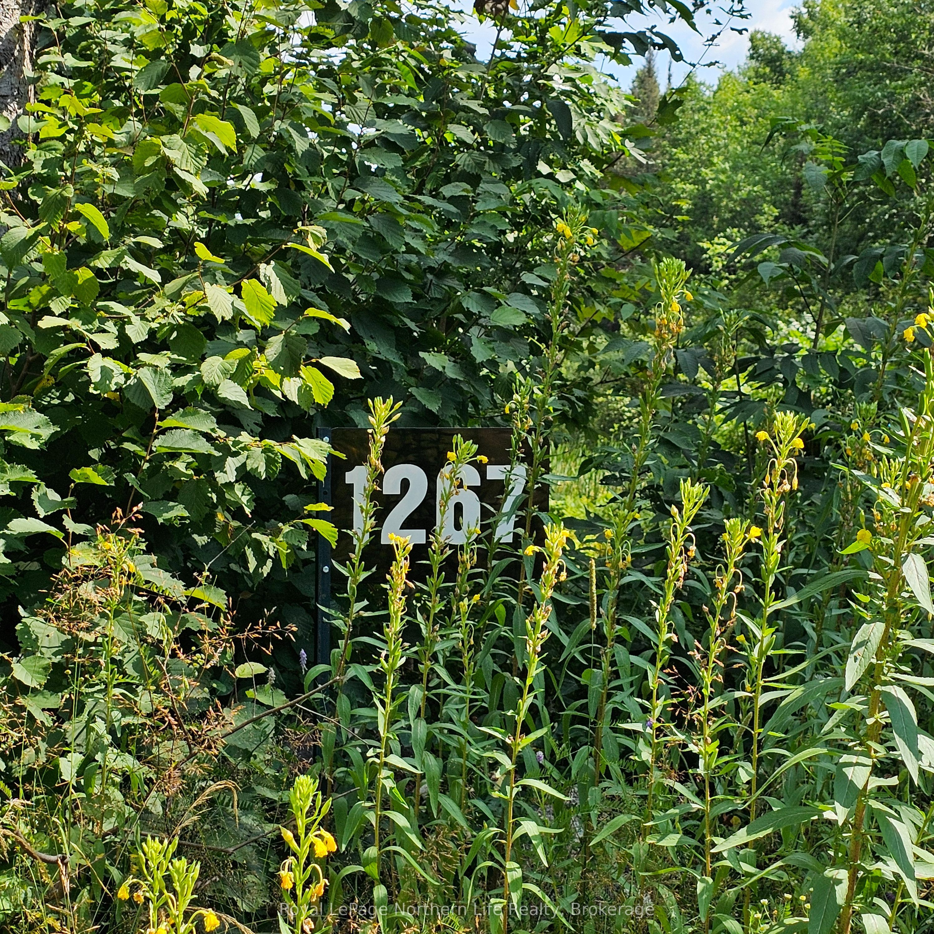 1267 Snake Creek Road Property Photo 1