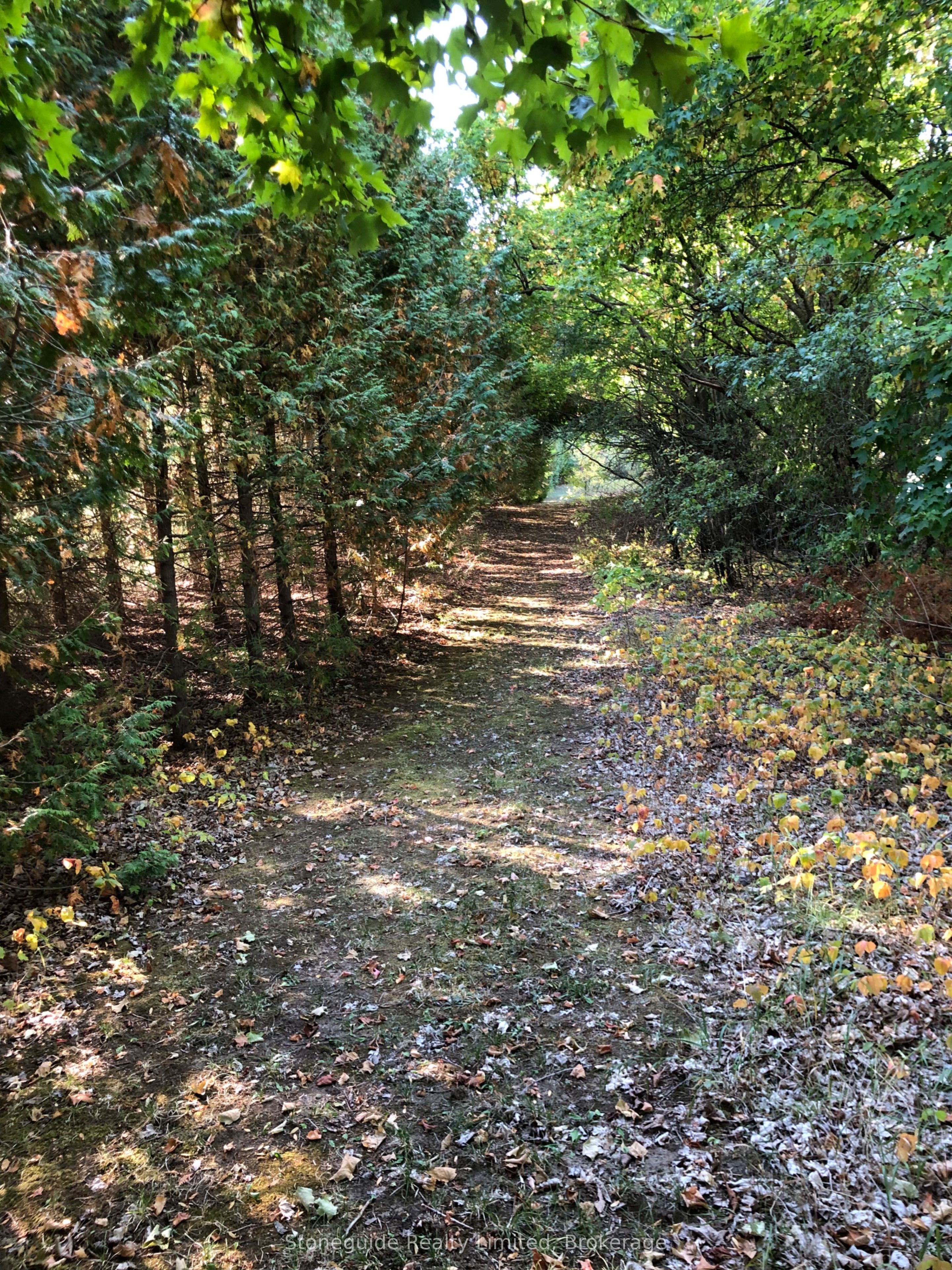 2509 12th Line Property Photo 46