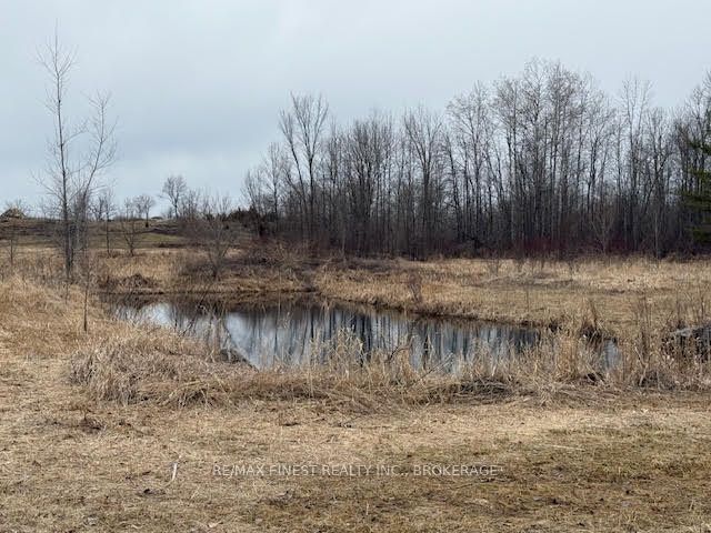 773 Ninth Concession Road Property Photo 43
