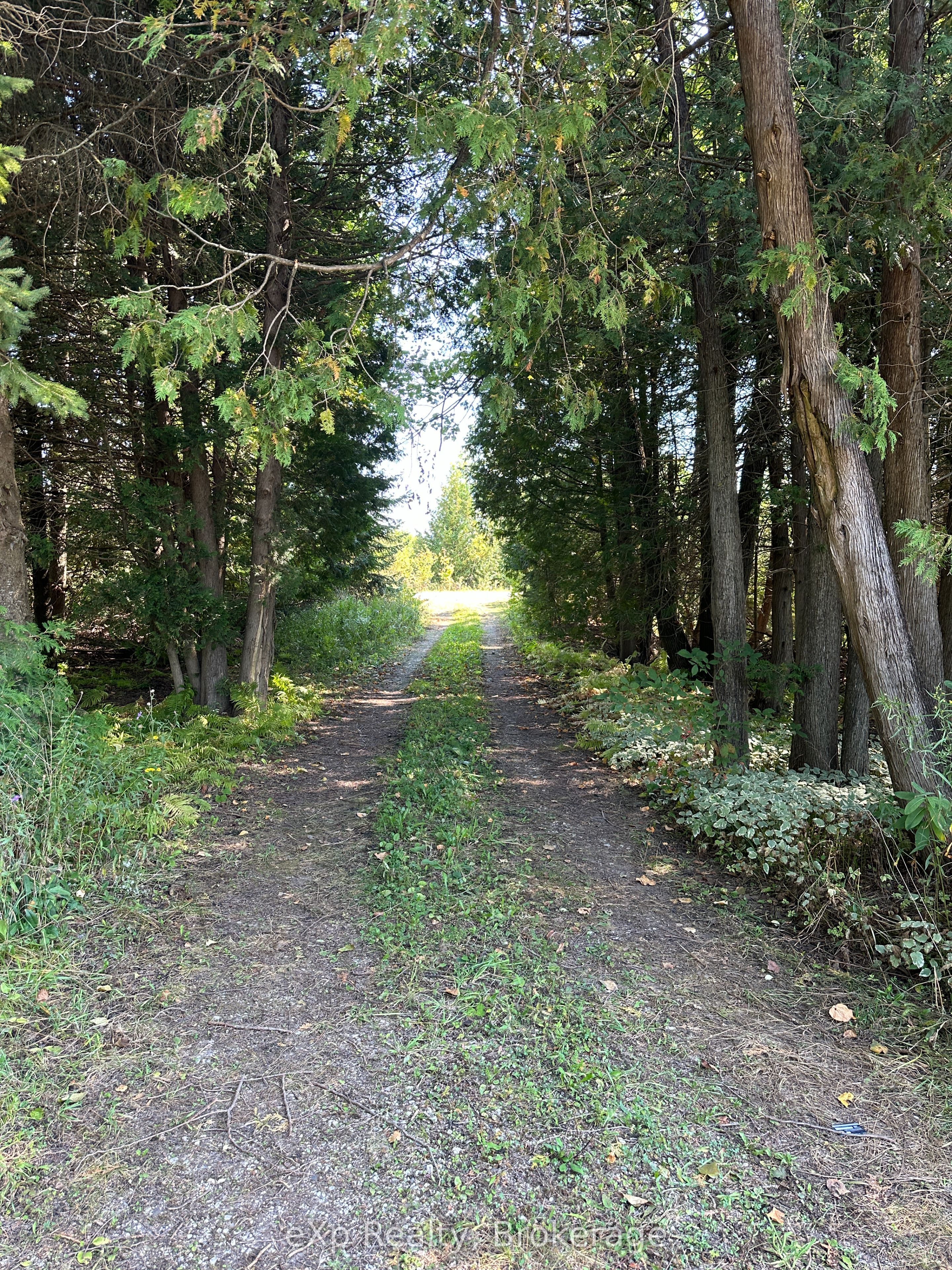 133272 ALLAN PARK Road Property Photo 1
