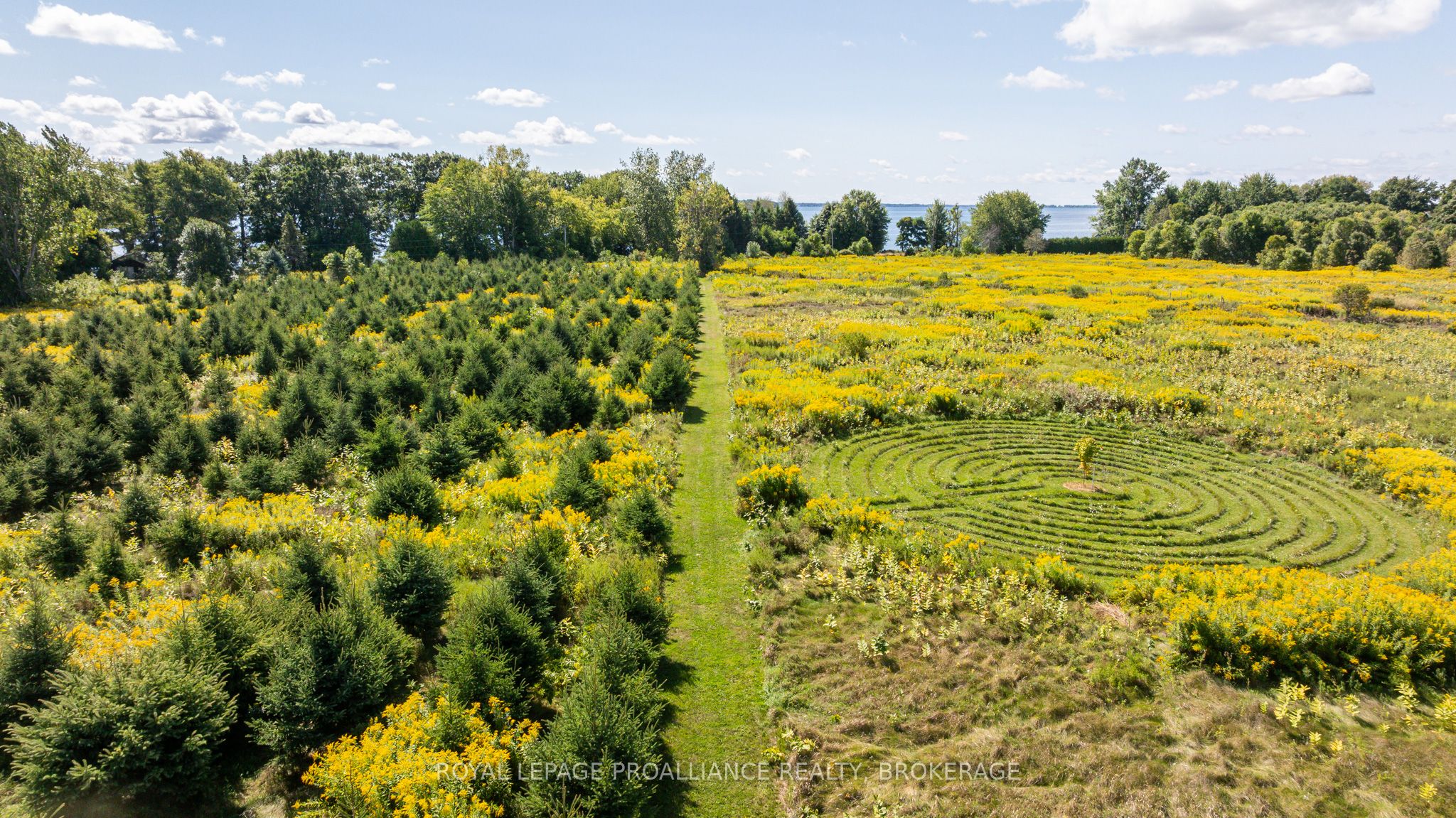 15 14th Line Road Property Photo 43
