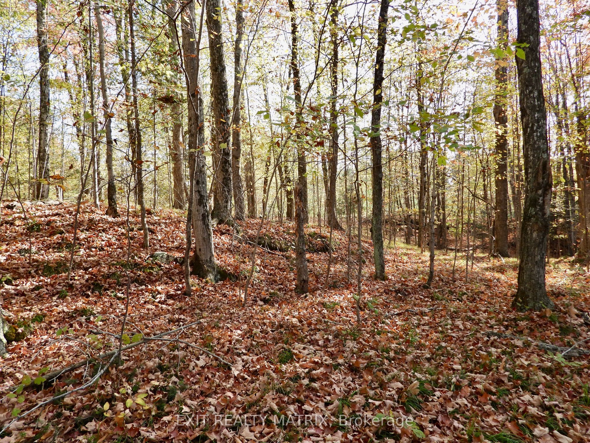 Lot 1 Woodland Park Drive Property Photo 1