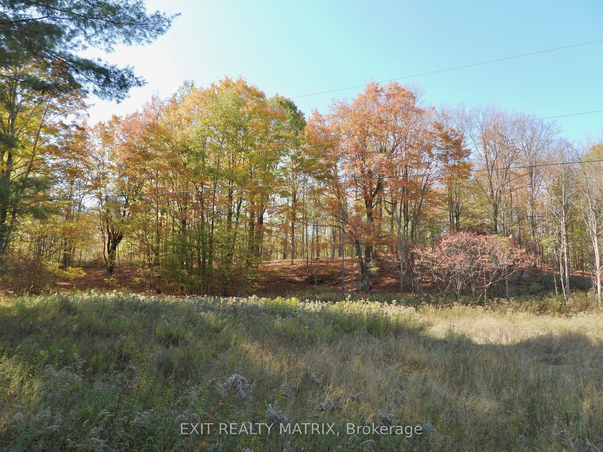 Lot 2 Woodland Park Drive Property Photo 1