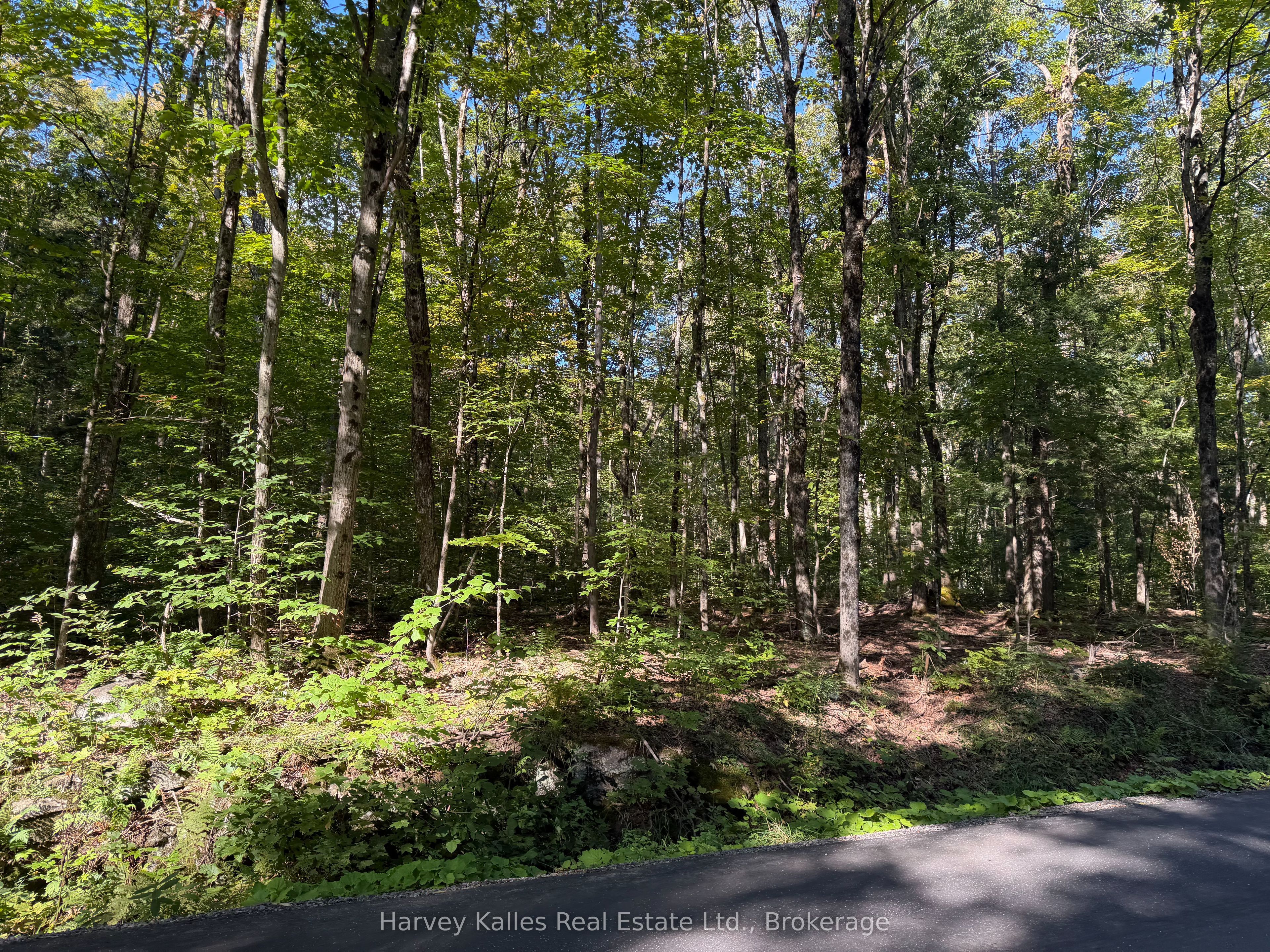 Con 1 Pt Lot 12 Barlochan Road Property Photo 1