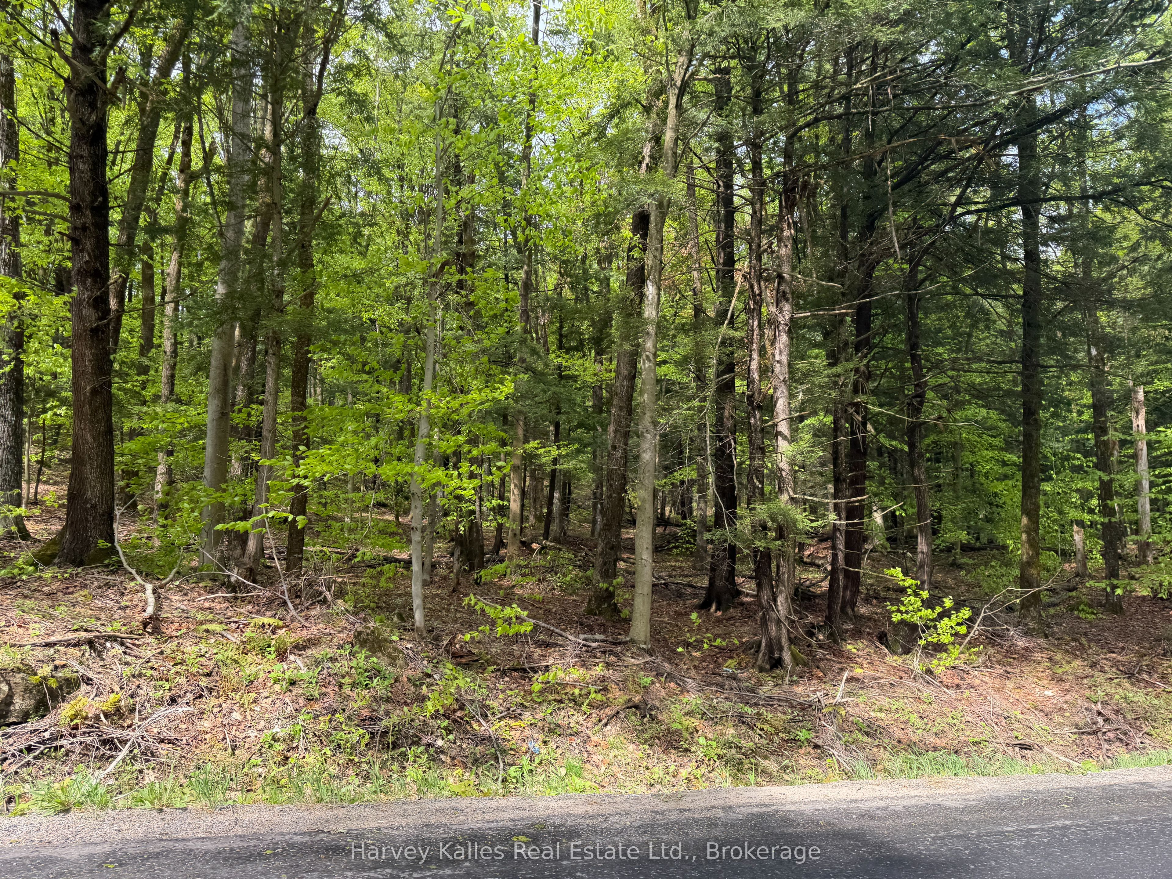 Con 1 Pt Lot 12 Barlochan Road Property Photo 4