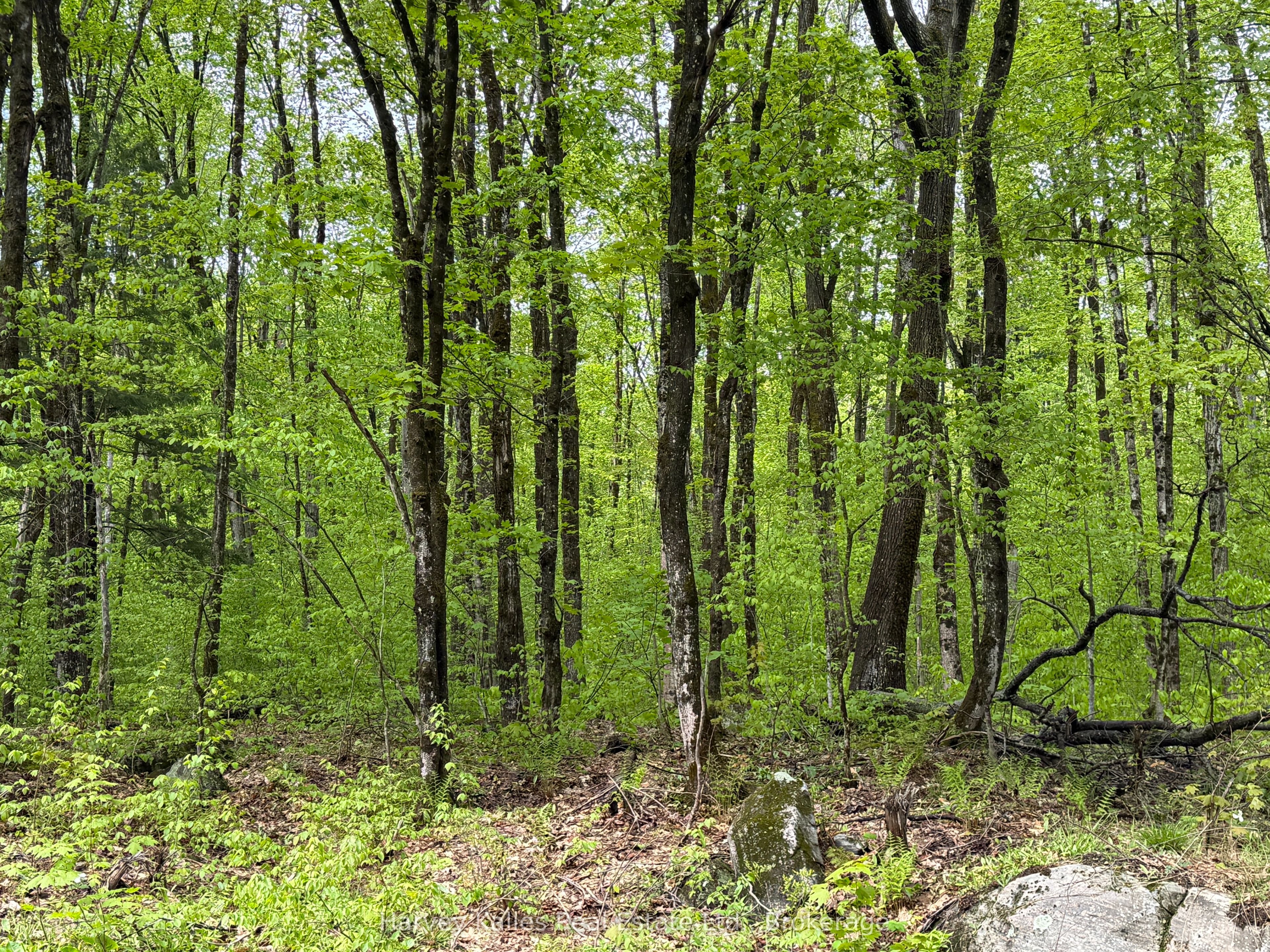 Con 1 Pt Lot 12 Barlochan Road Property Photo 5