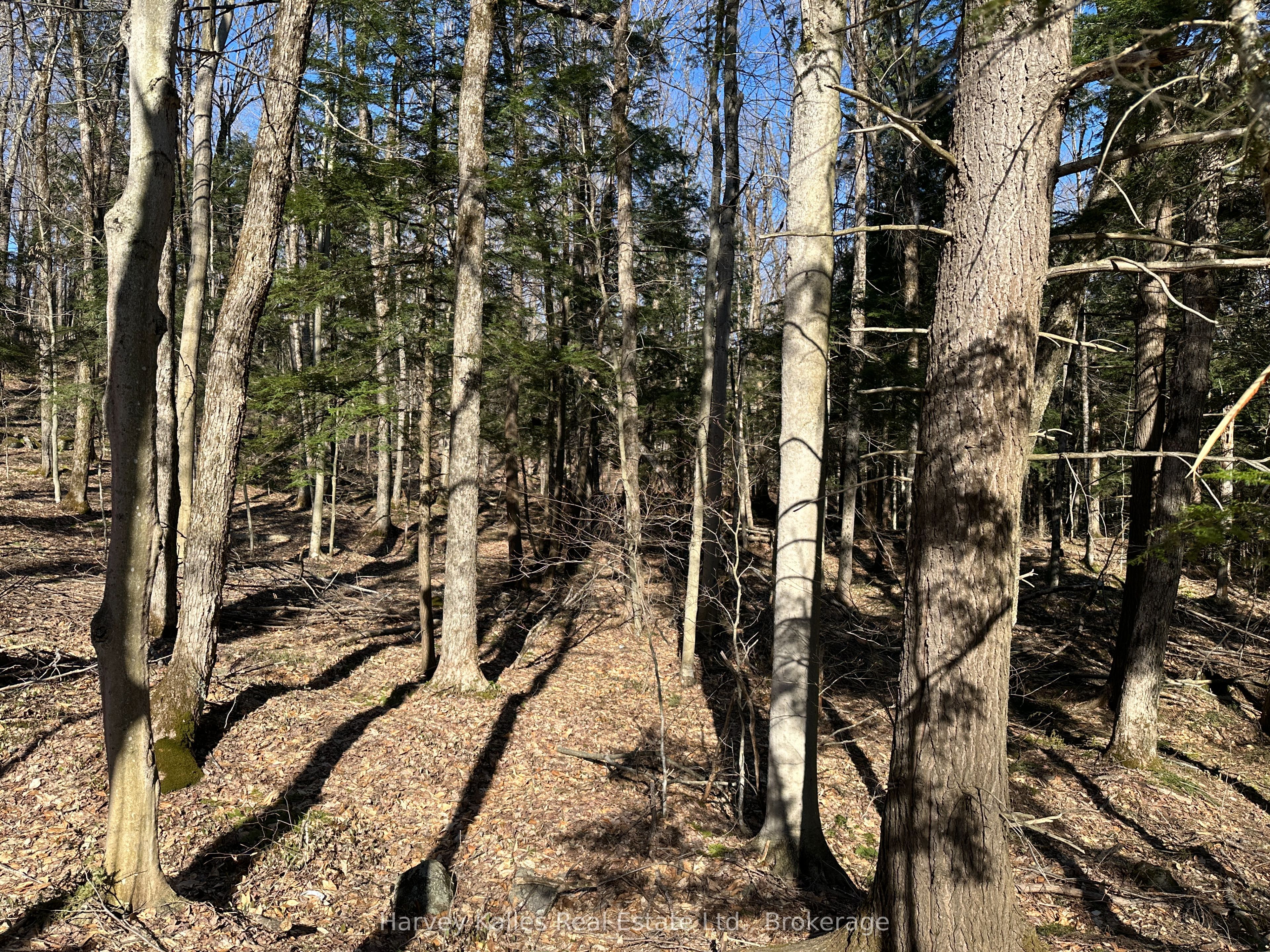 Con 1 Pt Lot 12 Barlochan Road Property Photo 19