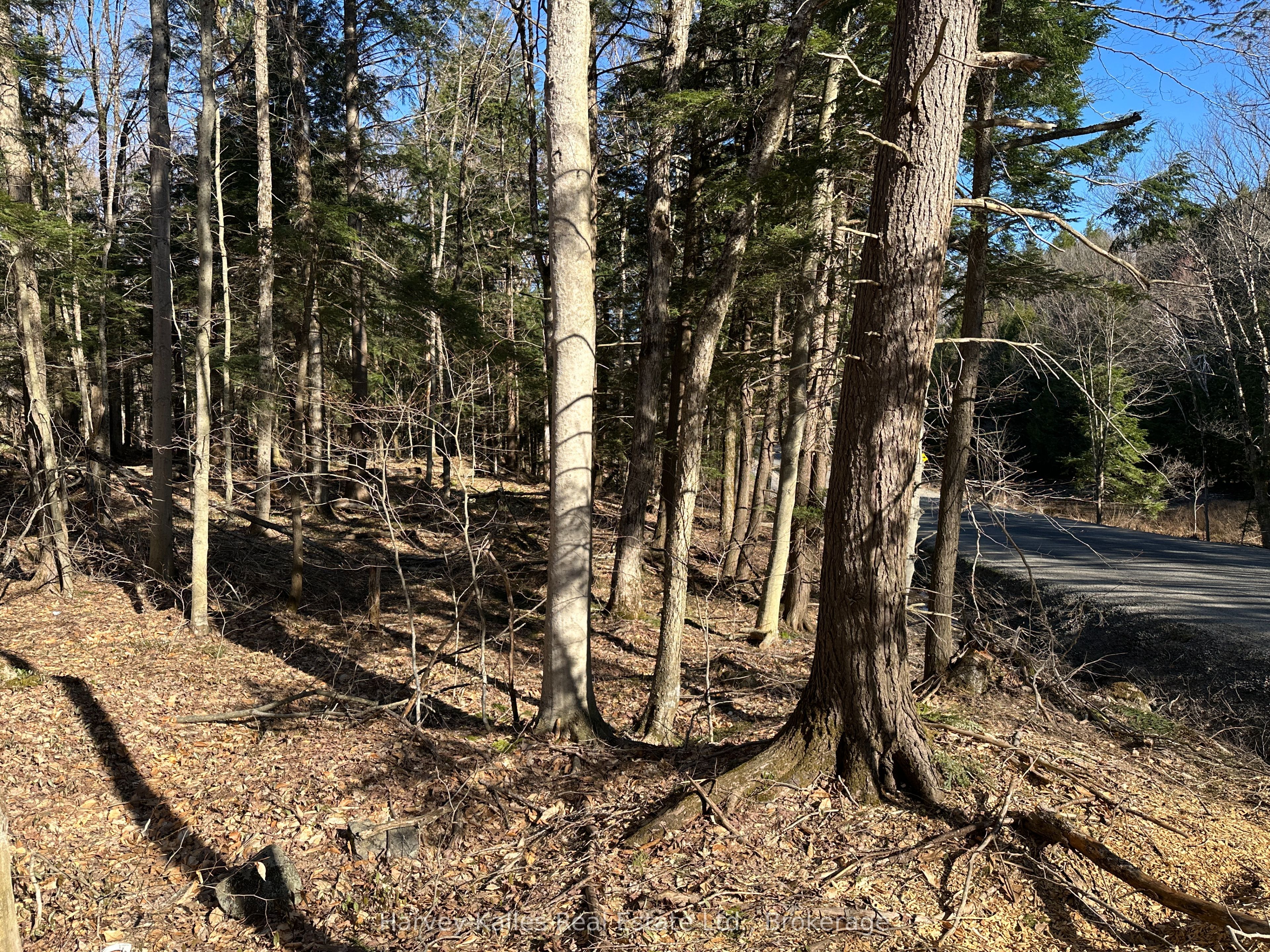 Con 1 Pt Lot 12 Barlochan Road Property Photo 21