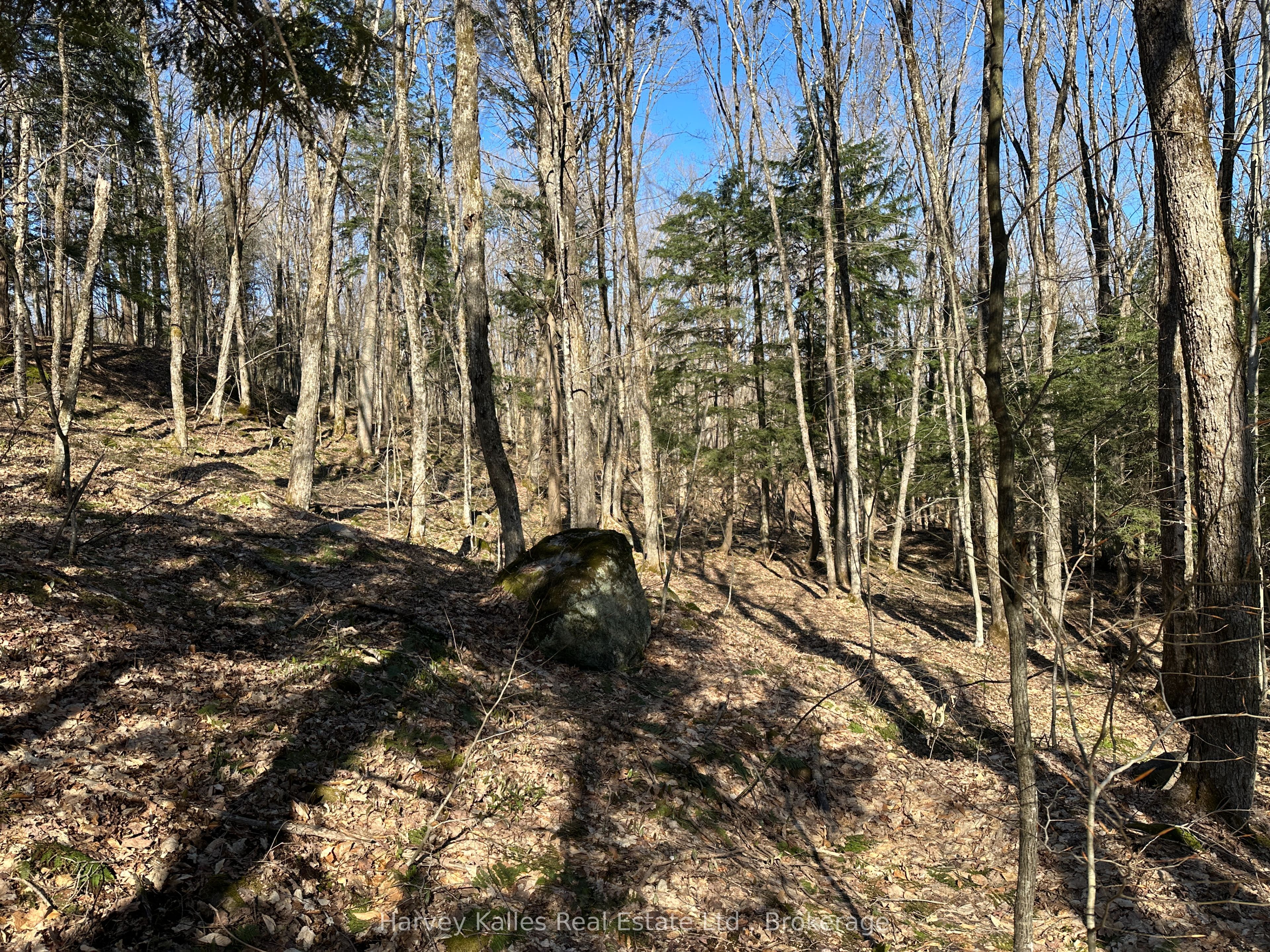 Con 1 Pt Lot 12 Barlochan Road Property Photo 22