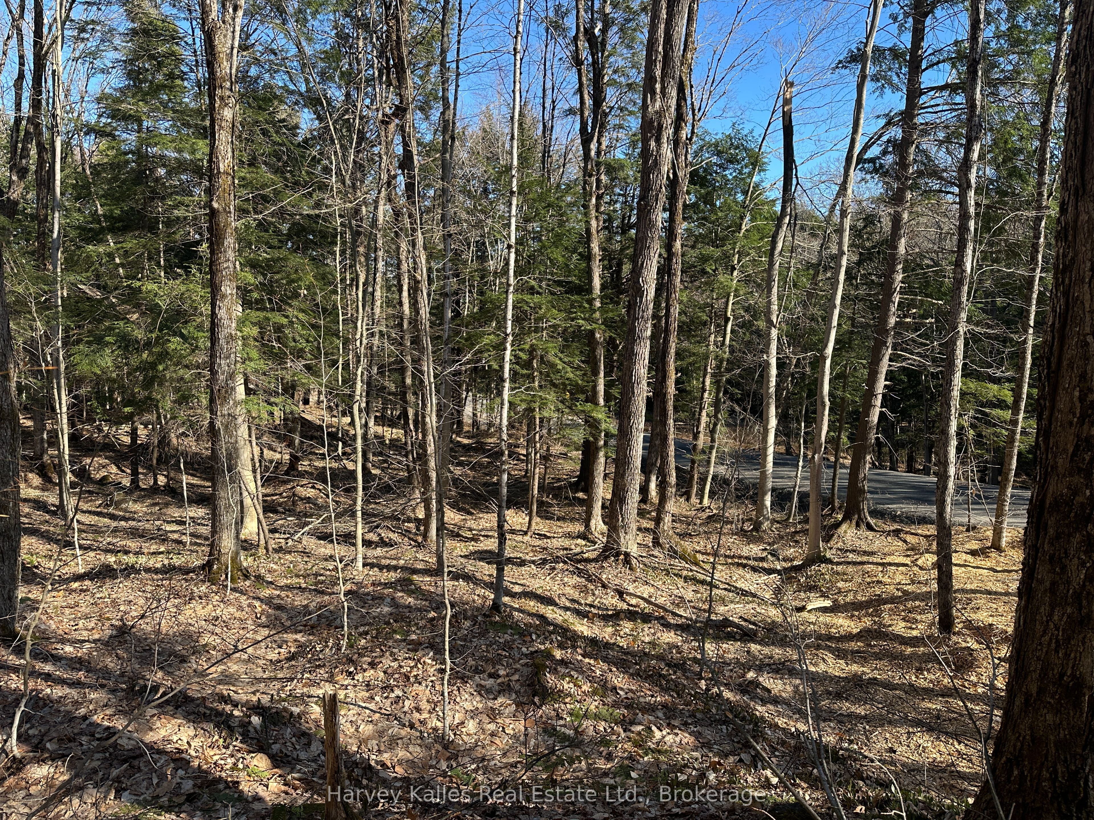 Con 1 Pt Lot 12 Barlochan Road Property Photo 23