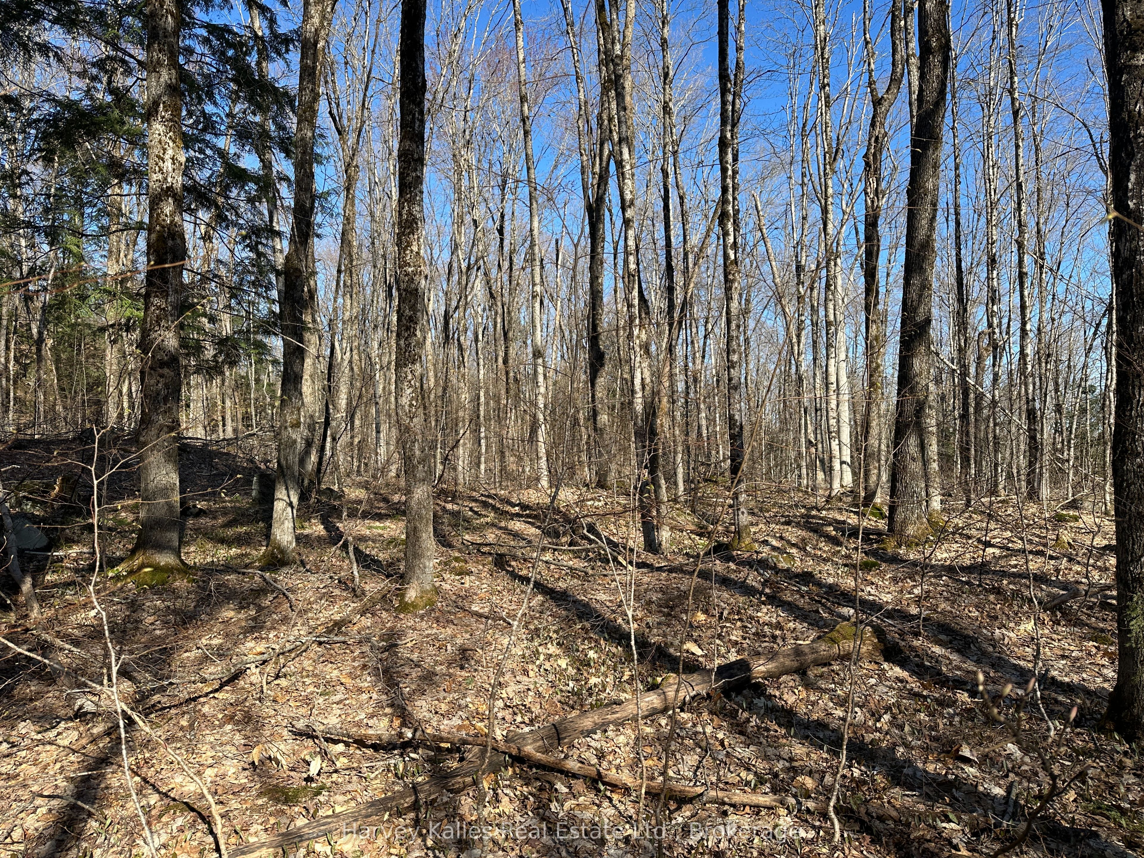Con 1 Pt Lot 12 Barlochan Road Property Photo 29