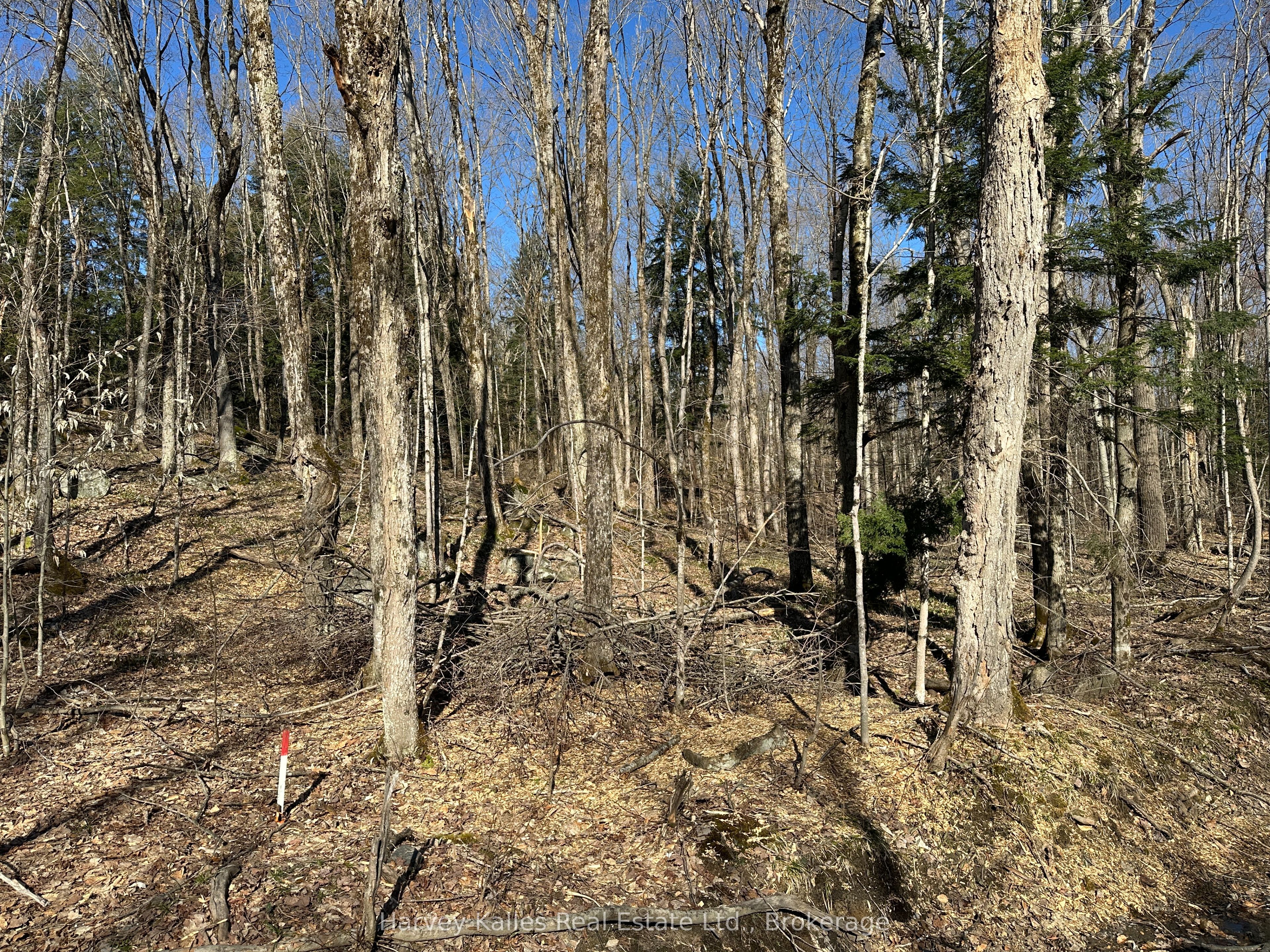 Con 1 Pt Lot 12 Barlochan Road Property Photo 31
