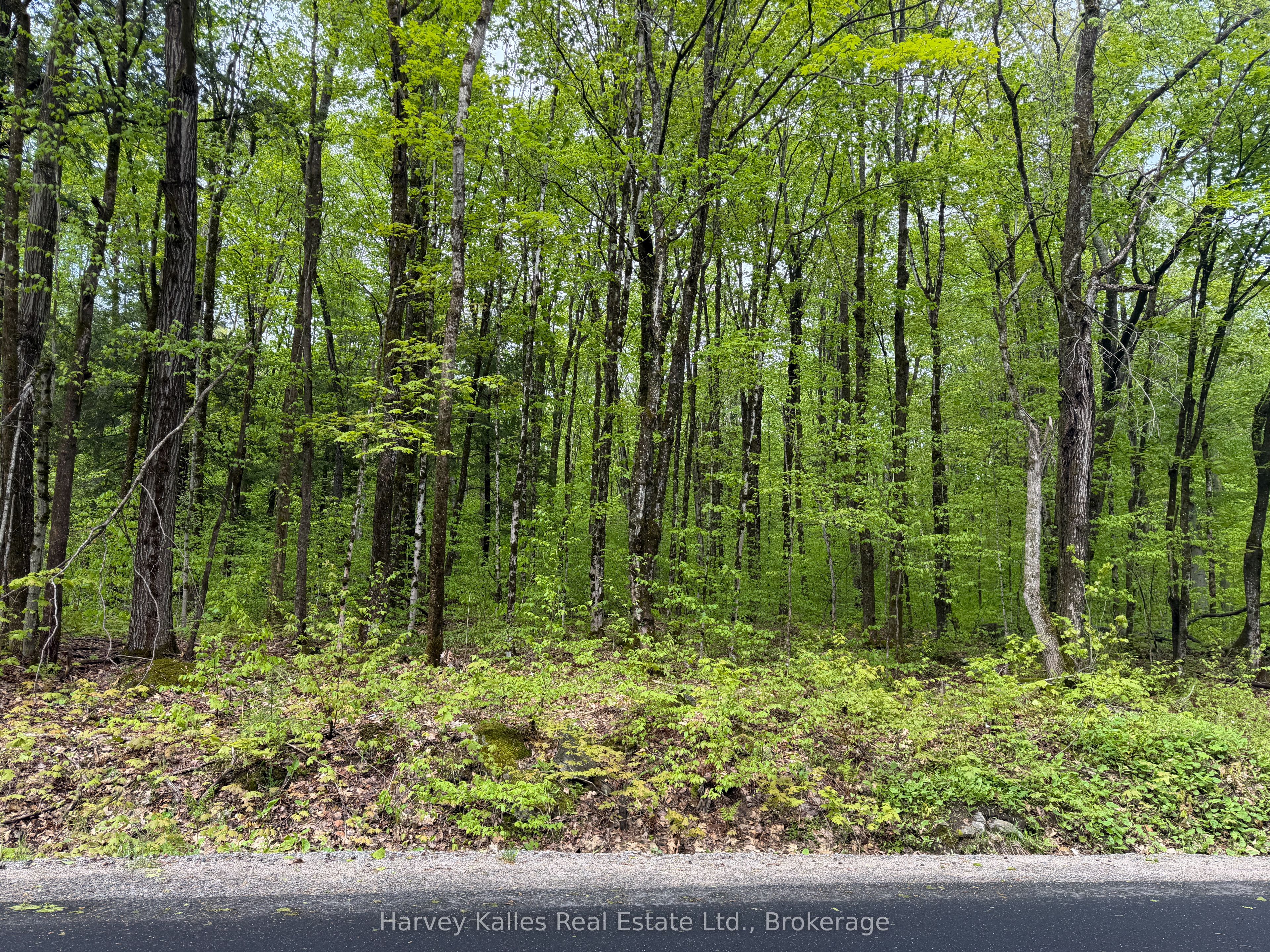 Con 1 Pt Lot 12 Barlochan Road Property Photo 33
